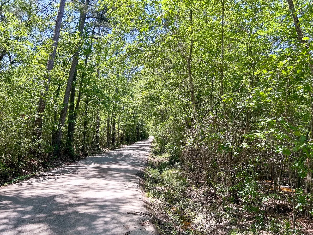 Unimproved Land For Sale in Angelina County , 0 Lane Drive, Lufkin, Texas 75904, 0, 0, Garage spaces, 0 Sqft, built in 1900, Unknown, Price $550,502, mls#20317826, Real Estate Agent in Lufkin, Homes For Sale in Angelina county, Homes For Sale in Lufkin, Realtor in Lufkin Texas, Real Estate Brokerage Independent Realty Texas, Luminita Cordes Realtor