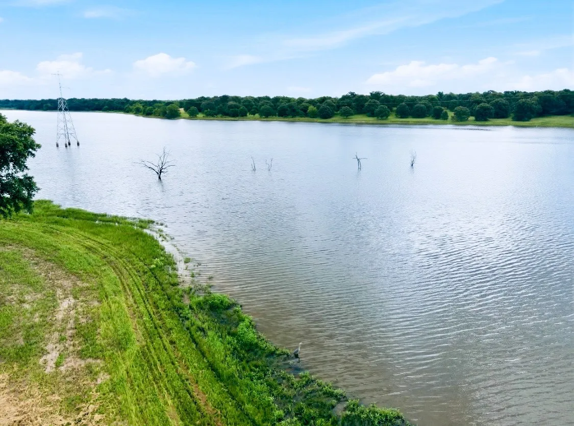 Expansive body of water bordered by a green shoreline and distant trees under a clear blue sky