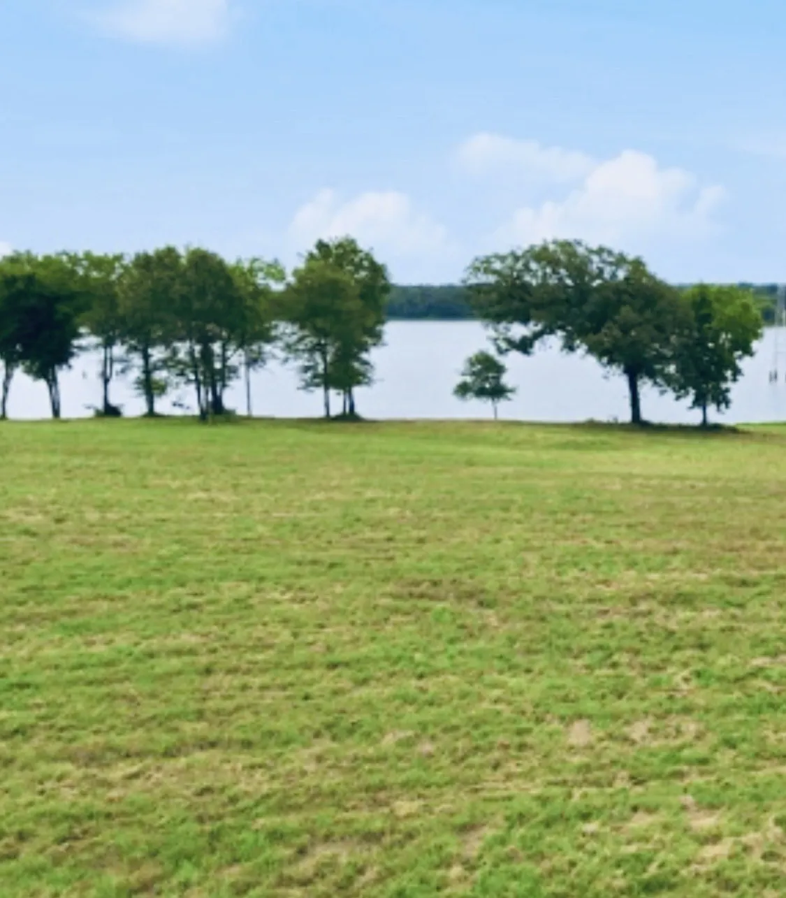 Expansive green lawn with mature trees bordering a body of water under a clear sky