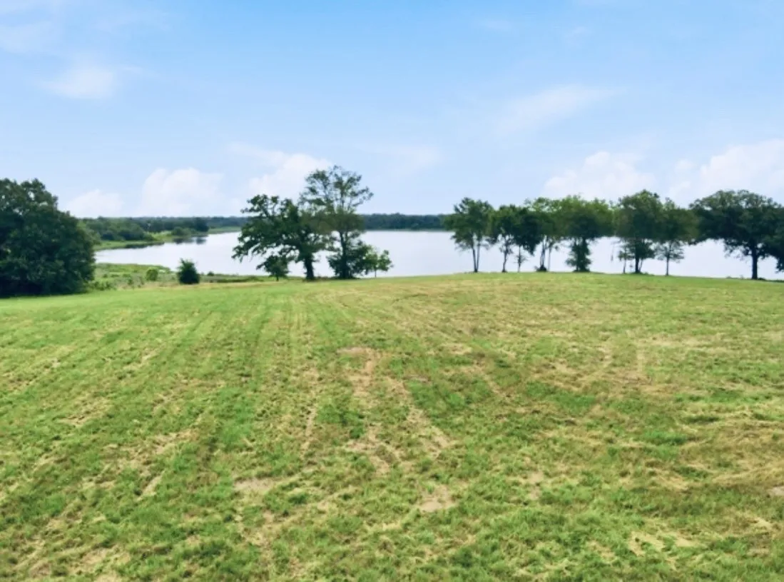 Expansive green lawn sloping towards a large body of water, bordered by mature trees and natural foliage