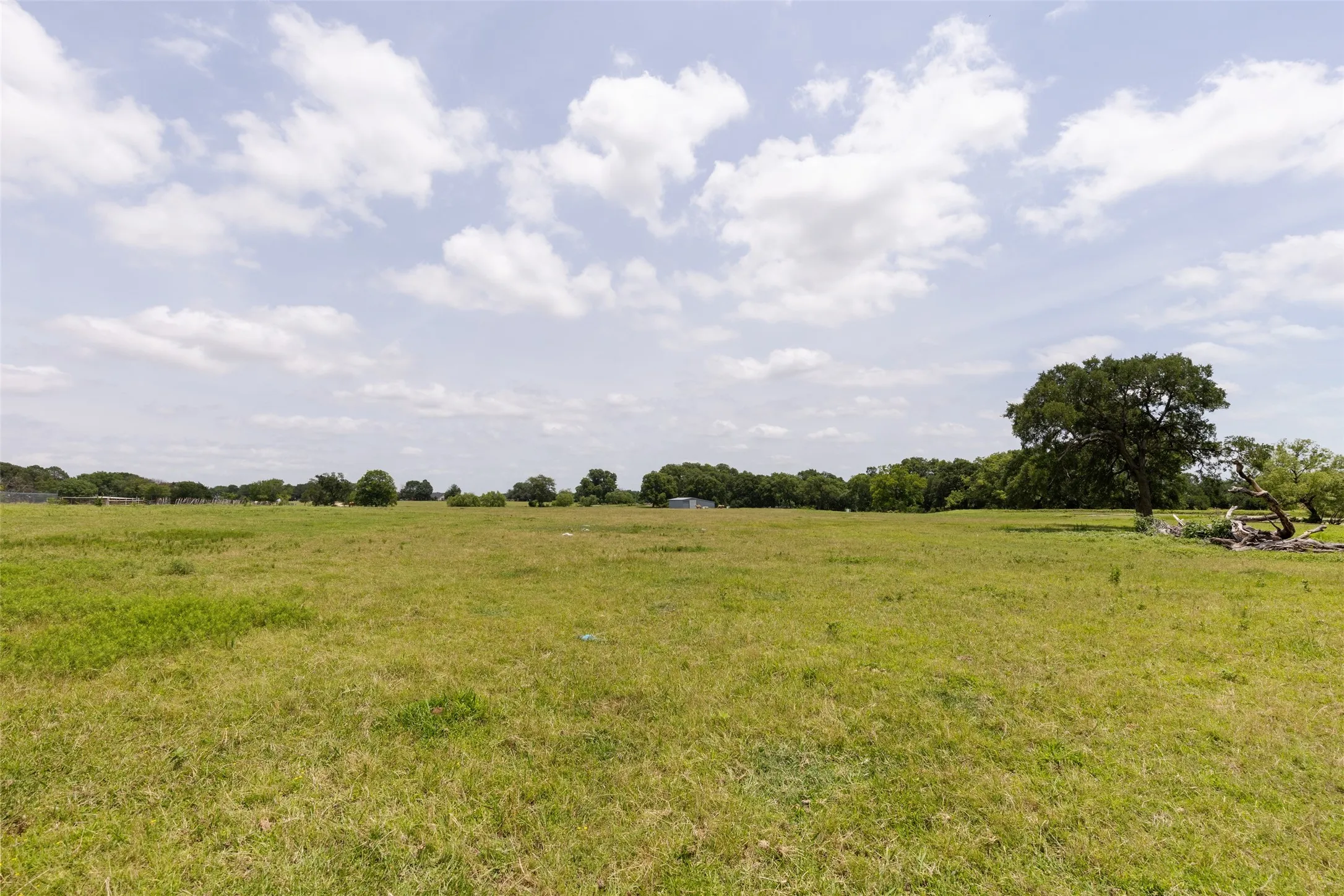 Warehouse For Sale in Denton County , 836 S Debbie Lane, Pilot Point, Texas 76258, 3 Bedroom, 2 Bathroom, Garage spaces, 2,698 Sqft, built in 1975, Preowned, mls#20332552, Real Estate Agent in Pilot Point, Homes For Sale in Denton county, Homes For Sale in Pilot Point, Realtor in Pilot Point Texas, Real Estate Brokerage Independent Realty Texas, Luminita Cordes Realtor