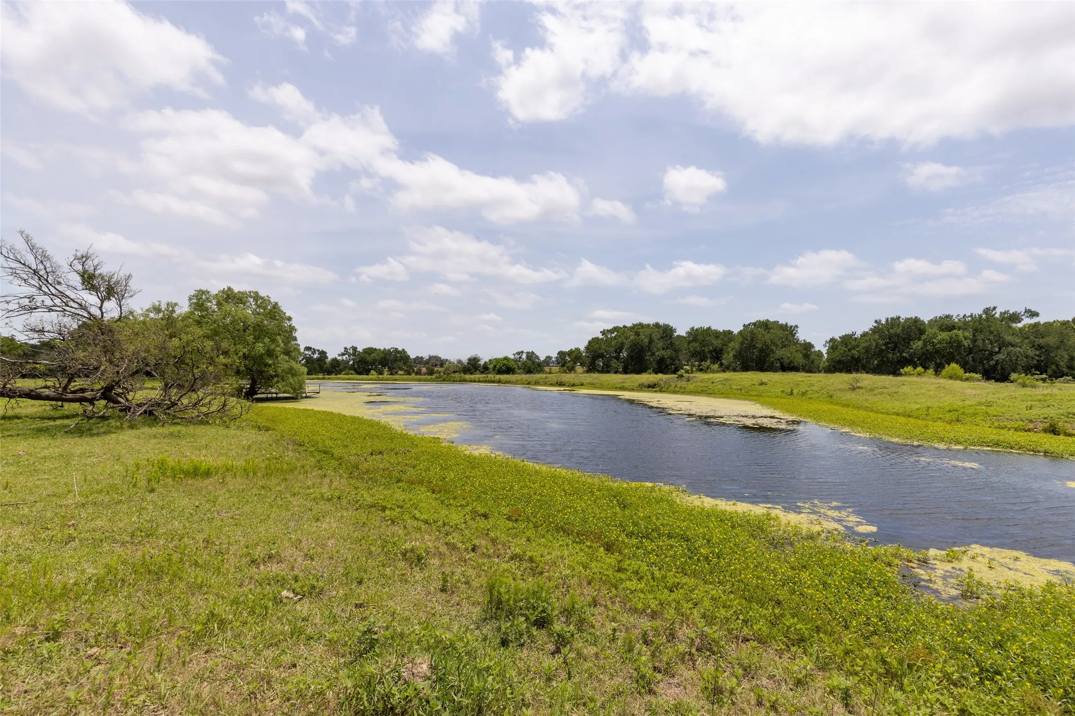 Warehouse For Sale in Denton County , 836 S Debbie Lane, Pilot Point, Texas 76258, 3 Bedroom, 2 Bathroom, Garage spaces, 2,698 Sqft, built in 1975, Preowned, mls#20332552, Real Estate Agent in Pilot Point, Homes For Sale in Denton county, Homes For Sale in Pilot Point, Realtor in Pilot Point Texas, Real Estate Brokerage Independent Realty Texas, Luminita Cordes Realtor