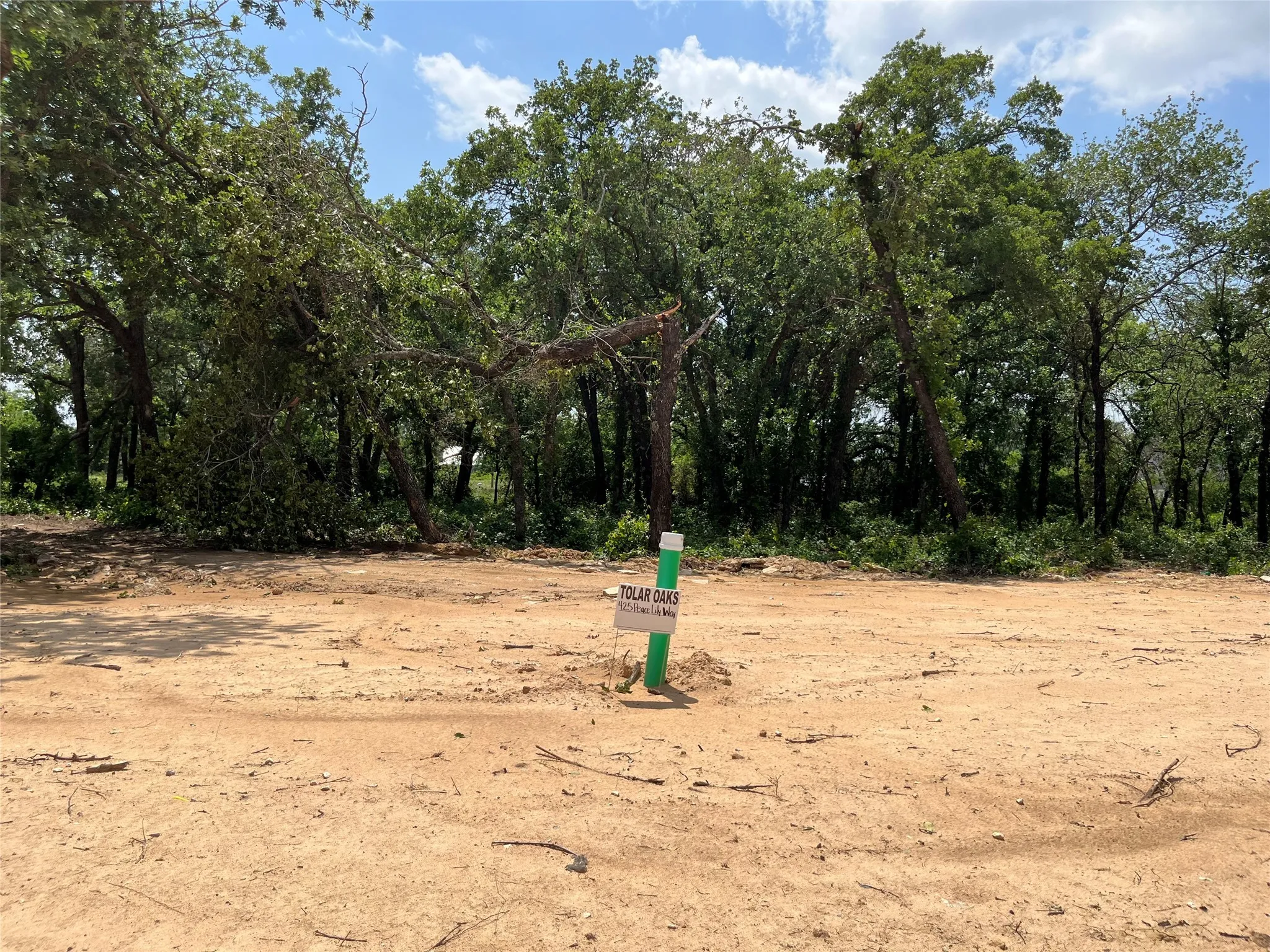 Unimproved Land For Sale in Hood County , 425 Peace Lily Way, Tolar, Texas 76476, 0, 0, Garage spaces, 0 Sqft, built in 0, mls#20334145, Real Estate Agent in Tolar, Homes For Sale in Hood county, Homes For Sale in Tolar, Realtor in Tolar Texas, Real Estate Brokerage Independent Realty Texas, Luminita Cordes Realtor