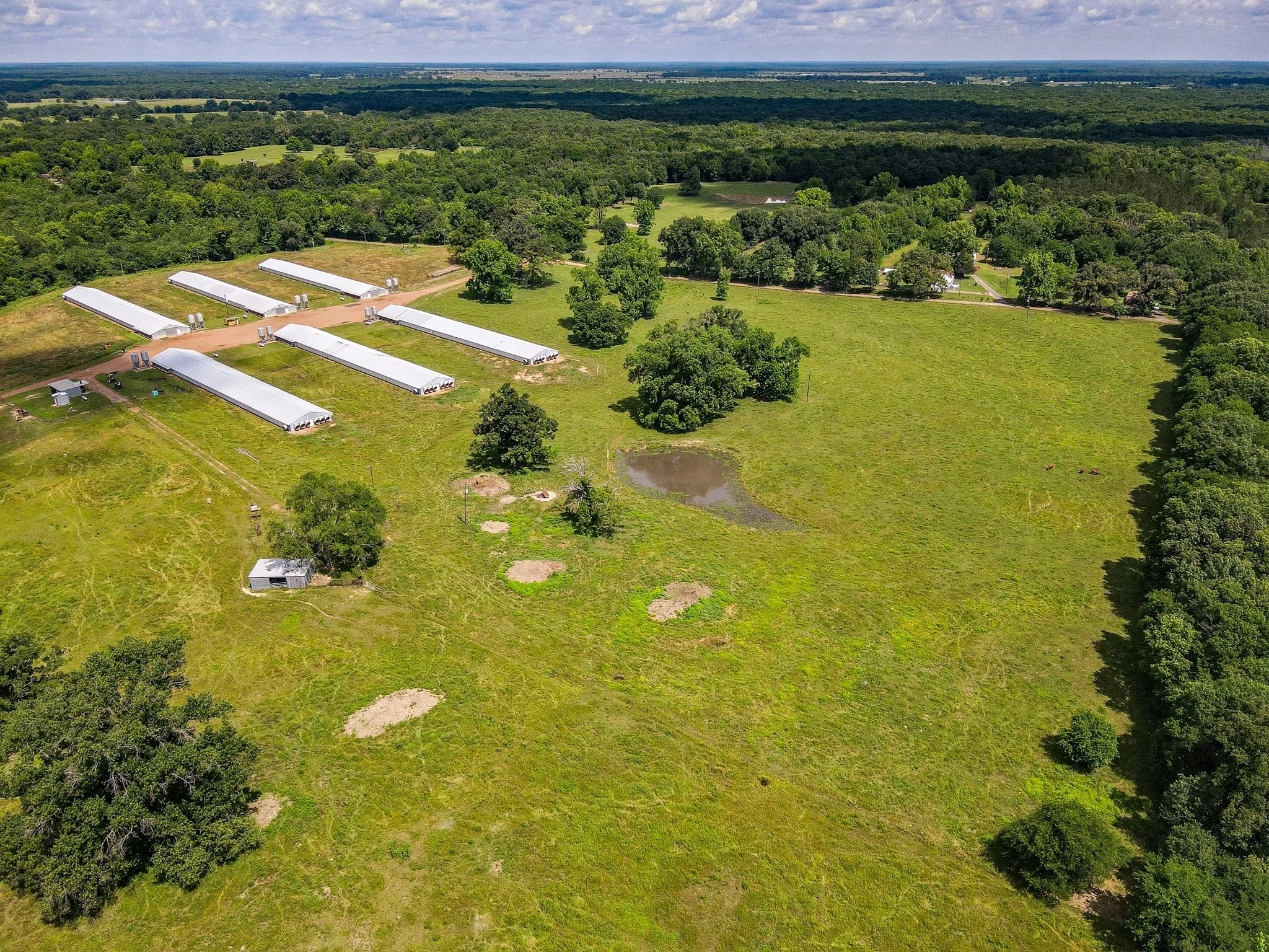 Unimproved Land For Sale in Morris County , 283 CR 3340, Omaha, Texas 75571, 0, 0, Garage spaces, 0 Sqft, built in 1990, Preowned, Price $599,000, mls#20336263, Real Estate Agent in Omaha, Homes For Sale in Morris county, Homes For Sale in Omaha, Realtor in Omaha Texas, Real Estate Brokerage Independent Realty Texas, Luminita Cordes Realtor
