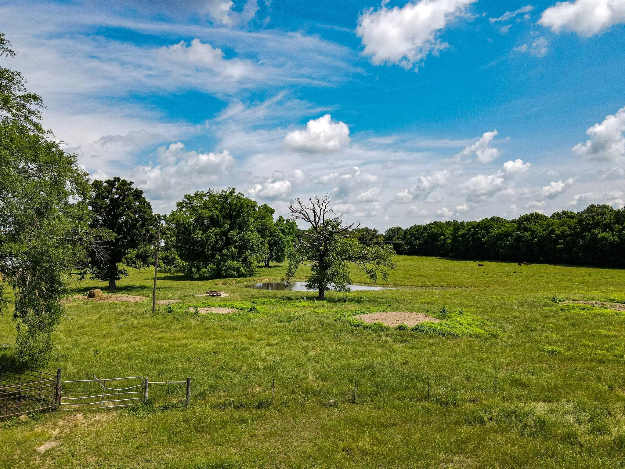 Unimproved Land For Sale in Morris County , 283 CR 3340, Omaha, Texas 75571, 0, 0, Garage spaces, 0 Sqft, built in 1990, Preowned, Price $599,000, mls#20336263, Real Estate Agent in Omaha, Homes For Sale in Morris county, Homes For Sale in Omaha, Realtor in Omaha Texas, Real Estate Brokerage Independent Realty Texas, Luminita Cordes Realtor