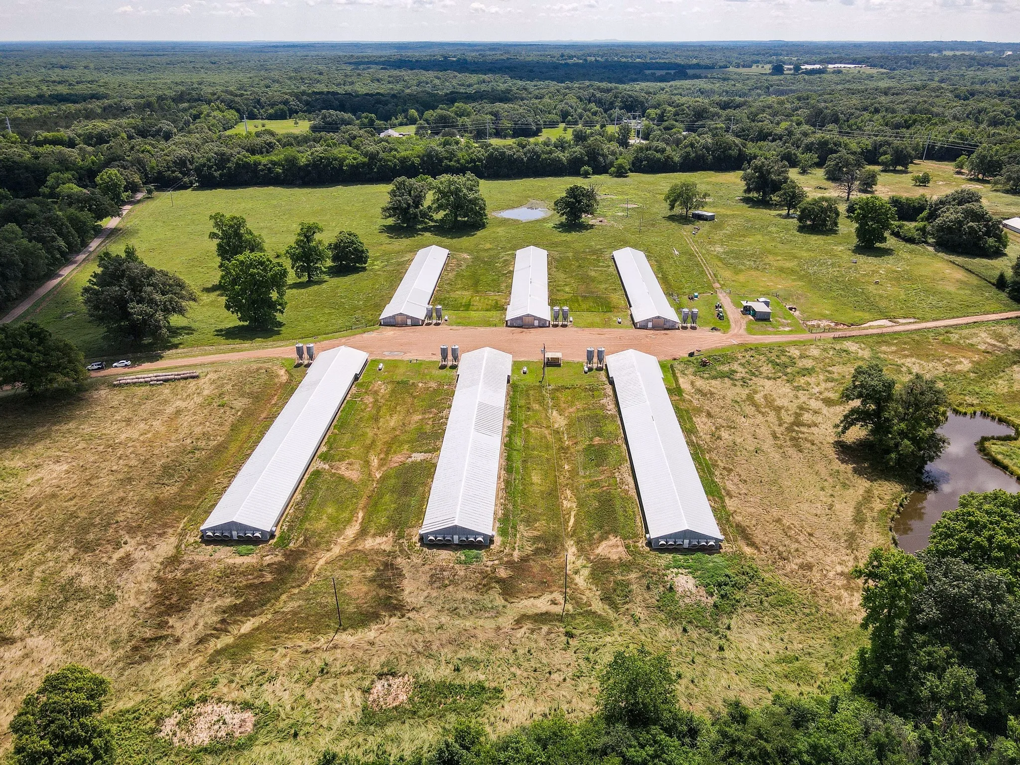 Unimproved Land For Sale in Morris County , 283 CR 3340, Omaha, Texas 75571, 0, 0, Garage spaces, 0 Sqft, built in 1990, Preowned, Price $599,000, mls#20336263, Real Estate Agent in Omaha, Homes For Sale in Morris county, Homes For Sale in Omaha, Realtor in Omaha Texas, Real Estate Brokerage Independent Realty Texas, Luminita Cordes Realtor