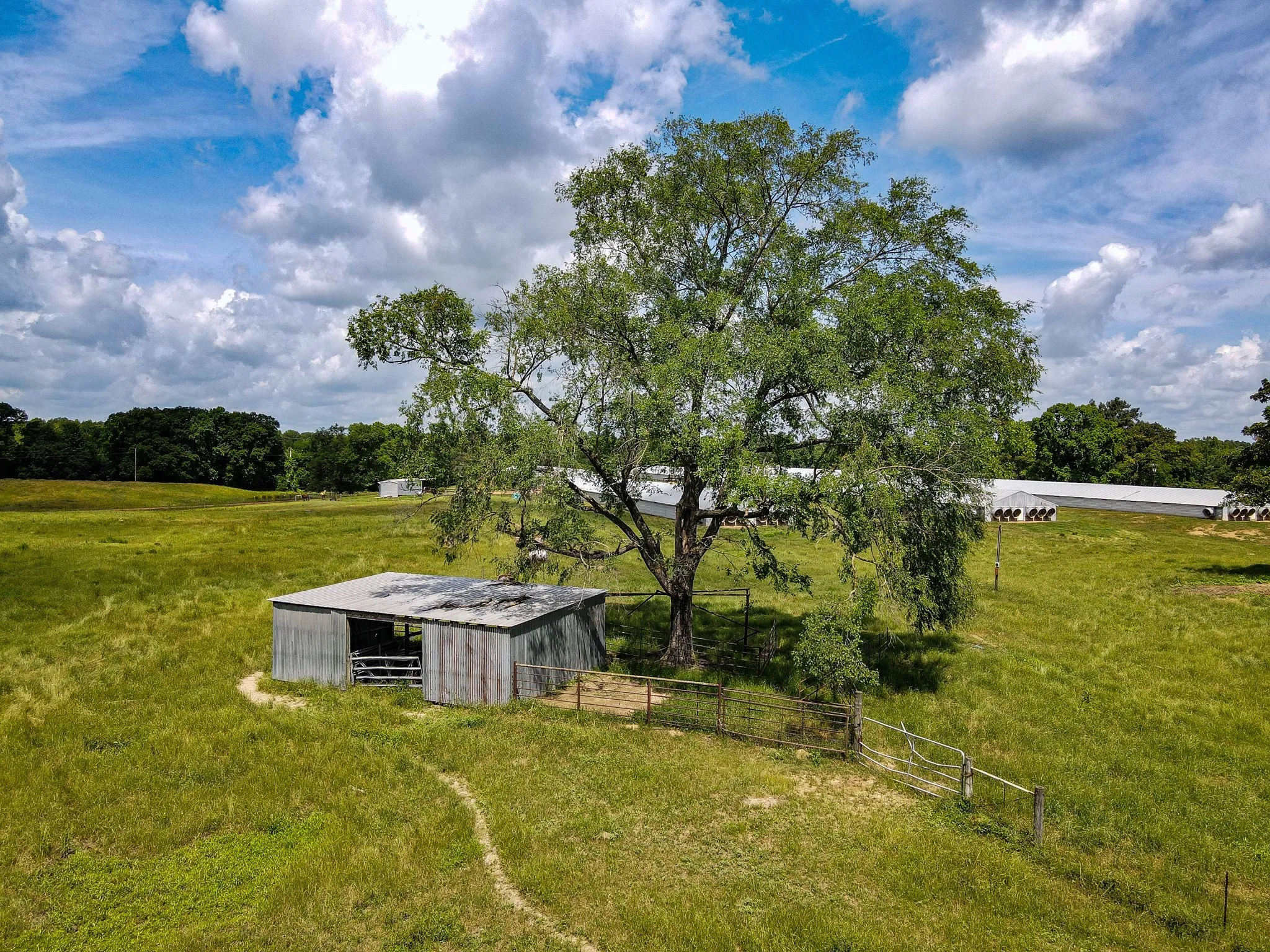 Unimproved Land For Sale in Morris County , 283 CR 3340, Omaha, Texas 75571, 0, 0, Garage spaces, 0 Sqft, built in 1990, Preowned, Price $599,000, mls#20336263, Real Estate Agent in Omaha, Homes For Sale in Morris county, Homes For Sale in Omaha, Realtor in Omaha Texas, Real Estate Brokerage Independent Realty Texas, Luminita Cordes Realtor