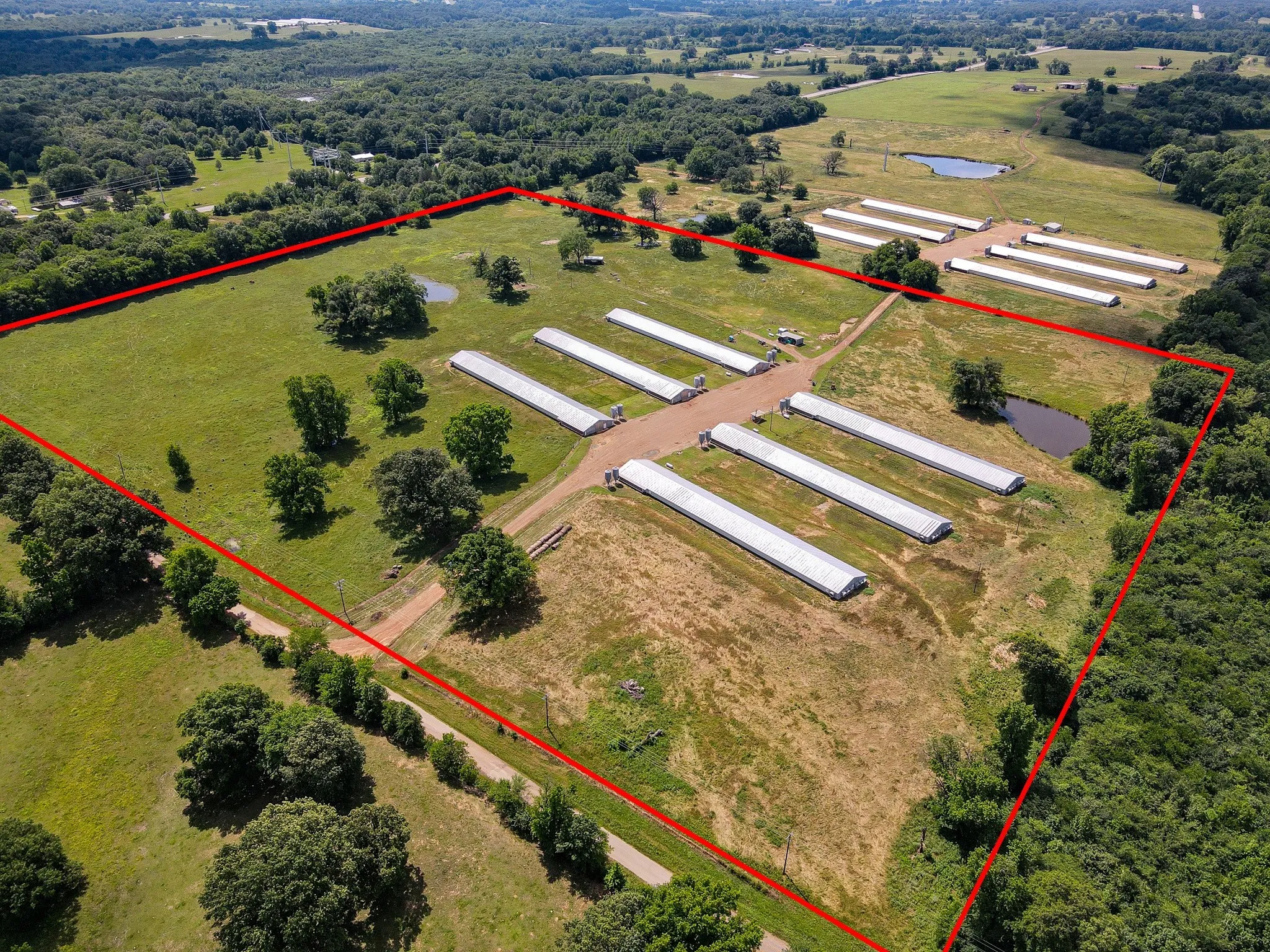 Unimproved Land For Sale in Morris County , 283 CR 3340, Omaha, Texas 75571, 0, 0, Garage spaces, 0 Sqft, built in 1990, Preowned, Price $599,000, mls#20336263, Real Estate Agent in Omaha, Homes For Sale in Morris county, Homes For Sale in Omaha, Realtor in Omaha Texas, Real Estate Brokerage Independent Realty Texas, Luminita Cordes Realtor