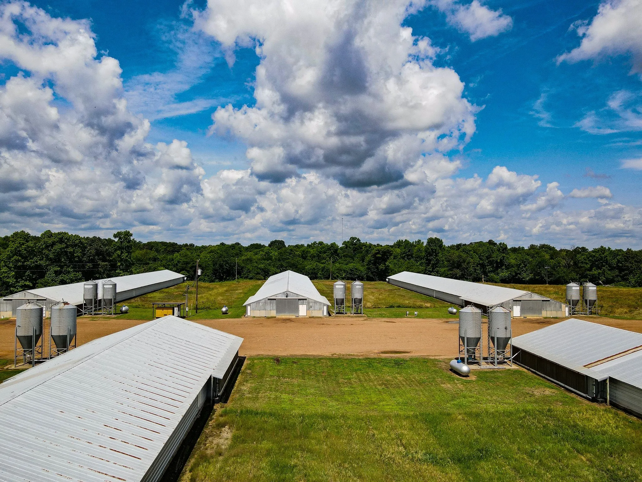 Unimproved Land For Sale in Morris County , 283 CR 3340, Omaha, Texas 75571, 0, 0, Garage spaces, 0 Sqft, built in 1990, Preowned, Price $599,000, mls#20336263, Real Estate Agent in Omaha, Homes For Sale in Morris county, Homes For Sale in Omaha, Realtor in Omaha Texas, Real Estate Brokerage Independent Realty Texas, Luminita Cordes Realtor