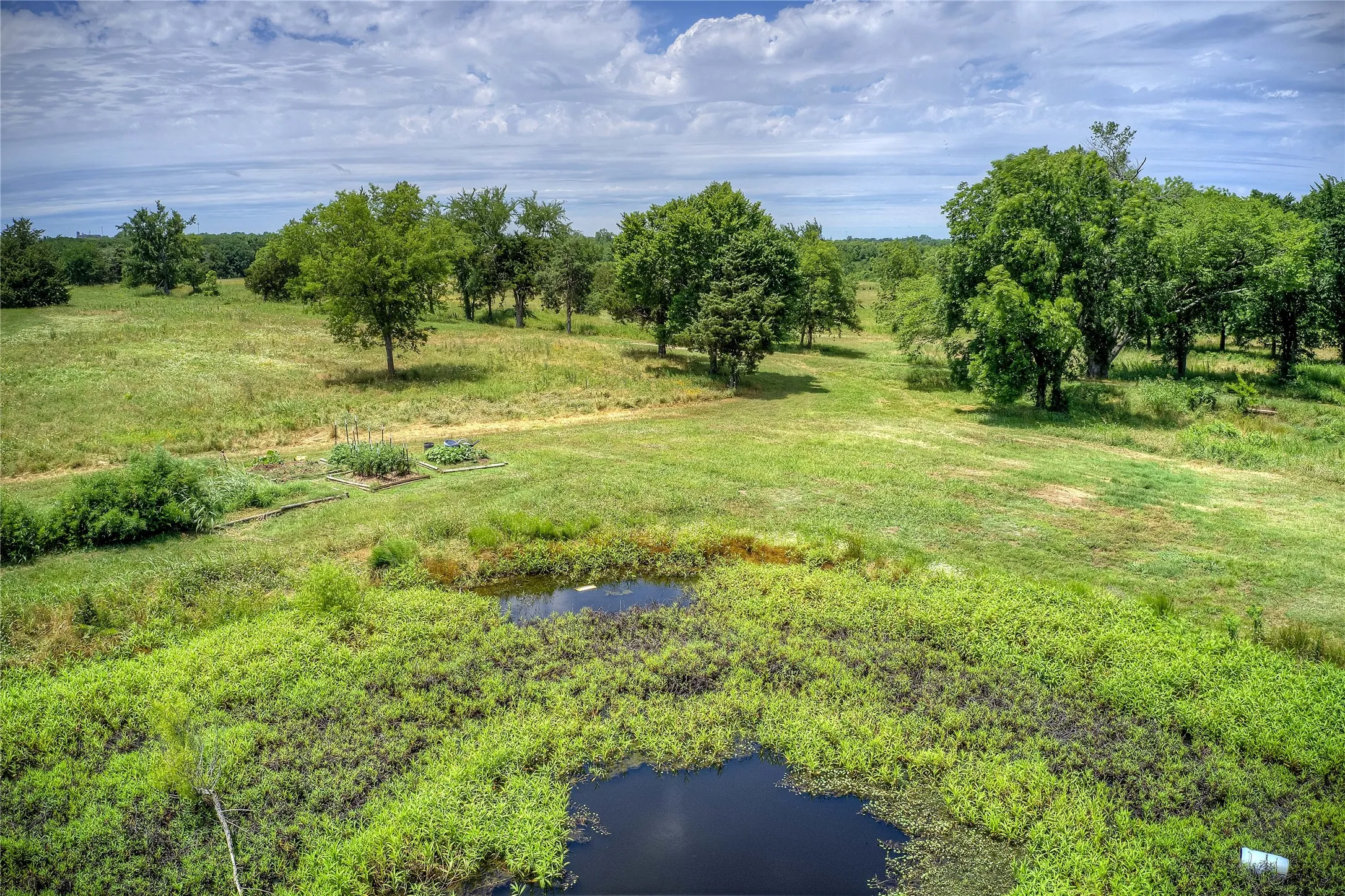 Unimproved Land For Sale in Hunt County , TBD Long Branch Drive, Greenville, Texas 75402, 0, 0, Garage spaces, 0 Sqft, built in 0, mls#20355160, Real Estate Agent in Greenville, Homes For Sale in Hunt county, Homes For Sale in Greenville, Realtor in Greenville Texas, Real Estate Brokerage Independent Realty Texas, Luminita Cordes Realtor