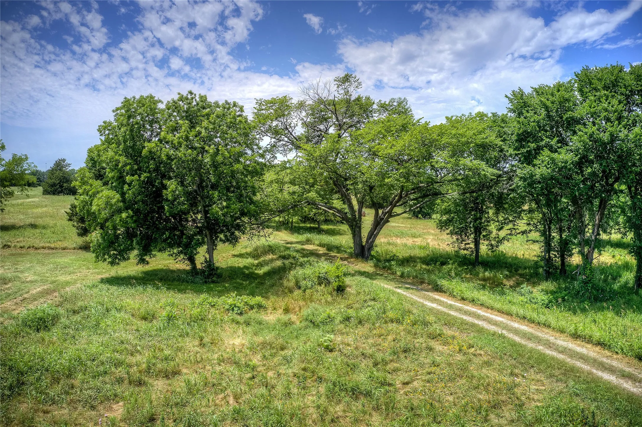 Unimproved Land For Sale in Hunt County , TBD Long Branch Drive, Greenville, Texas 75402, 0, 0, Garage spaces, 0 Sqft, built in 0, mls#20355160, Real Estate Agent in Greenville, Homes For Sale in Hunt county, Homes For Sale in Greenville, Realtor in Greenville Texas, Real Estate Brokerage Independent Realty Texas, Luminita Cordes Realtor