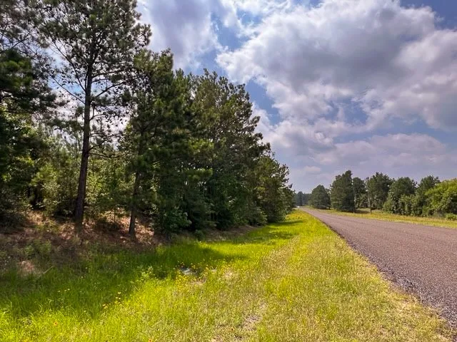 Unimproved Land For Sale in Tyler County , 0 FM 92, Colmesneil, Texas 75938, 0, 0, Garage spaces, 0 Sqft, built in 0, Price $244,530, mls#20360579, Real Estate Agent in Colmesneil, Homes For Sale in Tyler county, Homes For Sale in Colmesneil, Realtor in Colmesneil Texas, Real Estate Brokerage Independent Realty Texas, Luminita Cordes Realtor