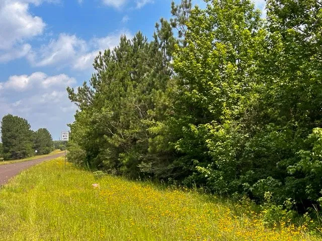 Unimproved Land For Sale in Tyler County , 0 FM 92, Colmesneil, Texas 75938, 0, 0, Garage spaces, 0 Sqft, built in 0, Price $244,530, mls#20360579, Real Estate Agent in Colmesneil, Homes For Sale in Tyler county, Homes For Sale in Colmesneil, Realtor in Colmesneil Texas, Real Estate Brokerage Independent Realty Texas, Luminita Cordes Realtor