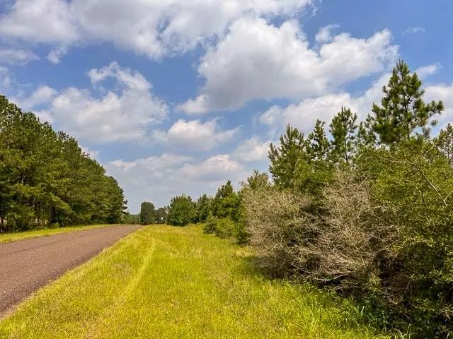 Unimproved Land For Sale in Tyler County , 00 FM 92, Colmesneil, Texas 75938, 0, 0, Garage spaces, 0 Sqft, built in 0, Price $230,945, mls#20360758, Real Estate Agent in Colmesneil, Homes For Sale in Tyler county, Homes For Sale in Colmesneil, Realtor in Colmesneil Texas, Real Estate Brokerage Independent Realty Texas, Luminita Cordes Realtor