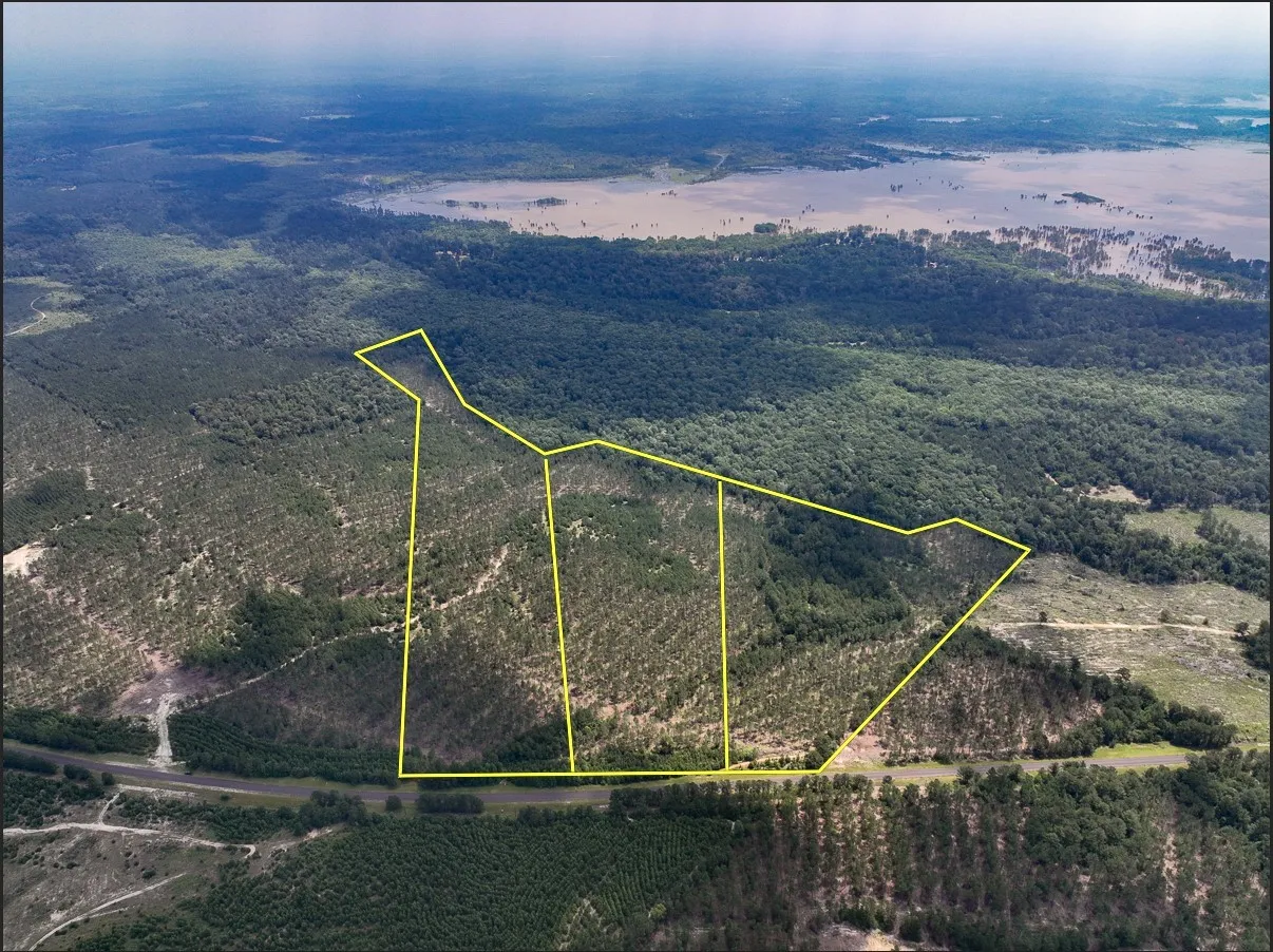 Unimproved Land For Sale in Tyler County , 00 FM 92, Colmesneil, Texas 75938, 0, 0, Garage spaces, 0 Sqft, built in 0, Price $230,945, mls#20360758, Real Estate Agent in Colmesneil, Homes For Sale in Tyler county, Homes For Sale in Colmesneil, Realtor in Colmesneil Texas, Real Estate Brokerage Independent Realty Texas, Luminita Cordes Realtor