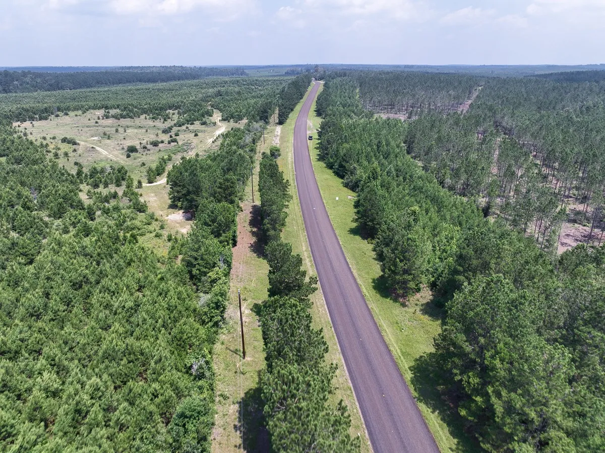 Unimproved Land For Sale in Tyler County , 000 FM 92, Colmesneil, Texas 75938, 0, 0, Garage spaces, 0 Sqft, built in 0, Price $163,020, mls#20360798, Real Estate Agent in Colmesneil, Homes For Sale in Tyler county, Homes For Sale in Colmesneil, Realtor in Colmesneil Texas, Real Estate Brokerage Independent Realty Texas, Luminita Cordes Realtor