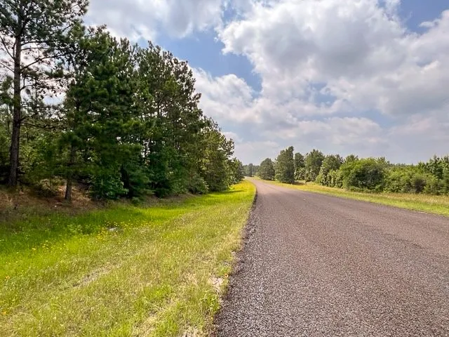 Unimproved Land For Sale in Tyler County , 000 FM 92, Colmesneil, Texas 75938, 0, 0, Garage spaces, 0 Sqft, built in 0, Price $163,020, mls#20360798, Real Estate Agent in Colmesneil, Homes For Sale in Tyler county, Homes For Sale in Colmesneil, Realtor in Colmesneil Texas, Real Estate Brokerage Independent Realty Texas, Luminita Cordes Realtor