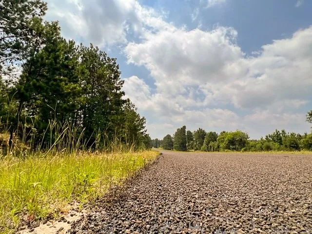 Unimproved Land For Sale in Tyler County , 000 FM 92, Colmesneil, Texas 75938, 0, 0, Garage spaces, 0 Sqft, built in 0, Price $163,020, mls#20360798, Real Estate Agent in Colmesneil, Homes For Sale in Tyler county, Homes For Sale in Colmesneil, Realtor in Colmesneil Texas, Real Estate Brokerage Independent Realty Texas, Luminita Cordes Realtor
