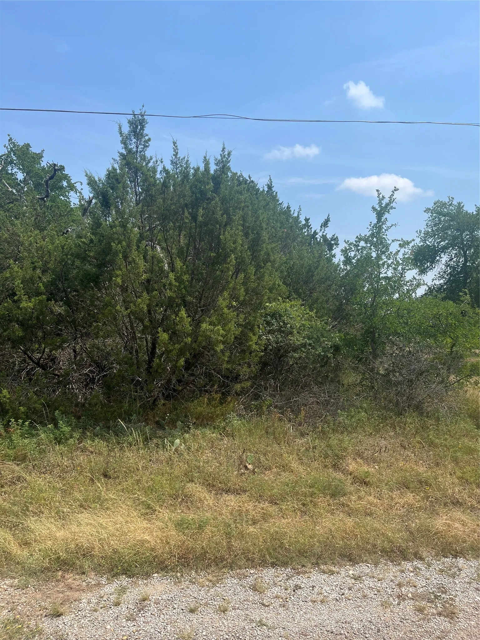 Unimproved Land For Sale in Hood County , 3416 Alabama Trail, Granbury, Texas 76048, 0, 0, Garage spaces, 0 Sqft, built in 0, mls#20361407, Real Estate Agent in Granbury, Homes For Sale in Hood county, Homes For Sale in Granbury, Realtor in Granbury Texas, Real Estate Brokerage Independent Realty Texas, Luminita Cordes Realtor