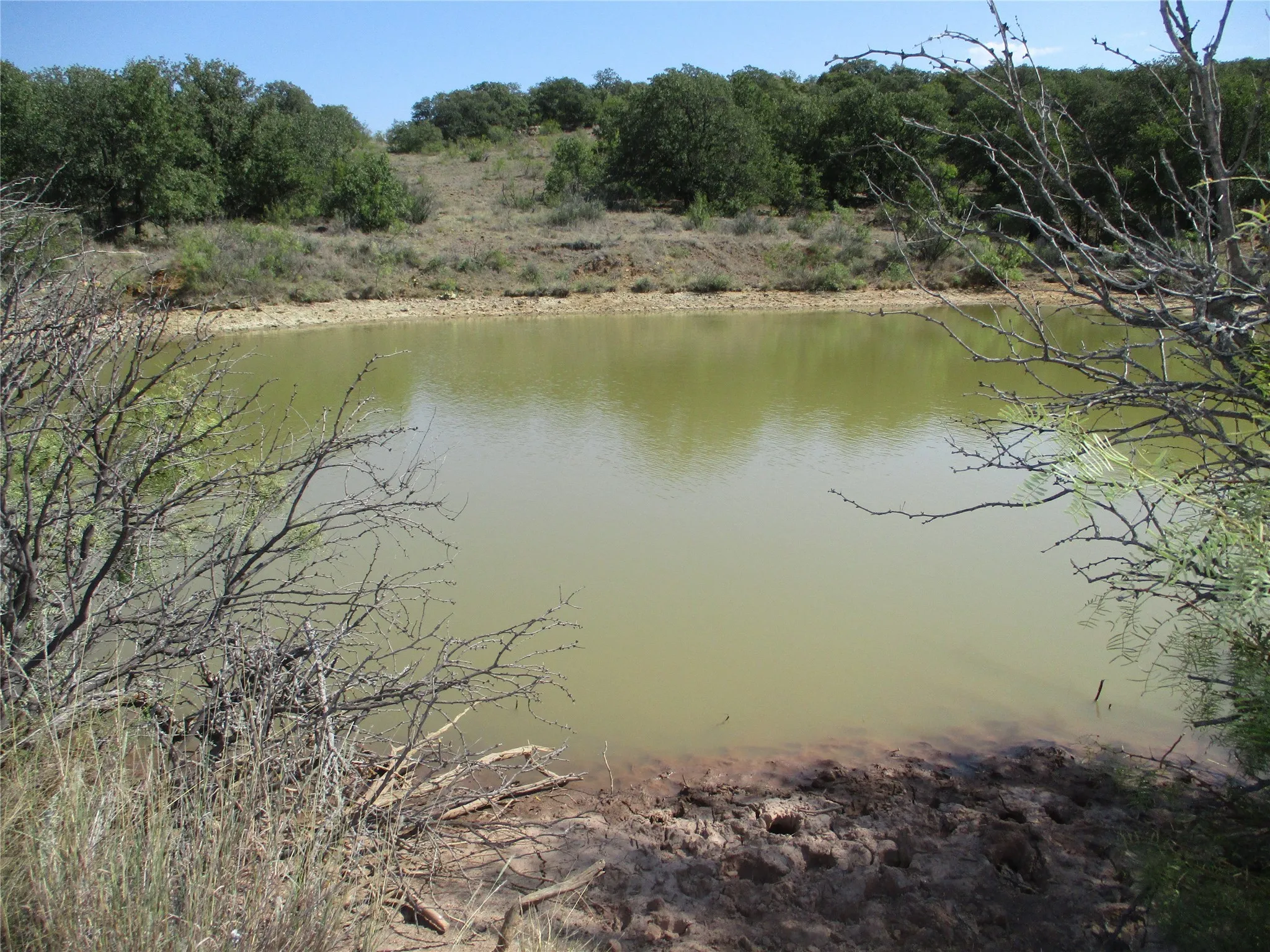 Unimproved Land For Sale in Young County , 80 ac Hwy 16, Loving, Texas 76460, 0, 0, Garage spaces, 0 Sqft, built in 0, Price $592,000, mls#20361536, Real Estate Agent in Loving, Homes For Sale in Young county, Homes For Sale in Loving, Realtor in Loving Texas, Real Estate Brokerage Independent Realty Texas, Luminita Cordes Realtor