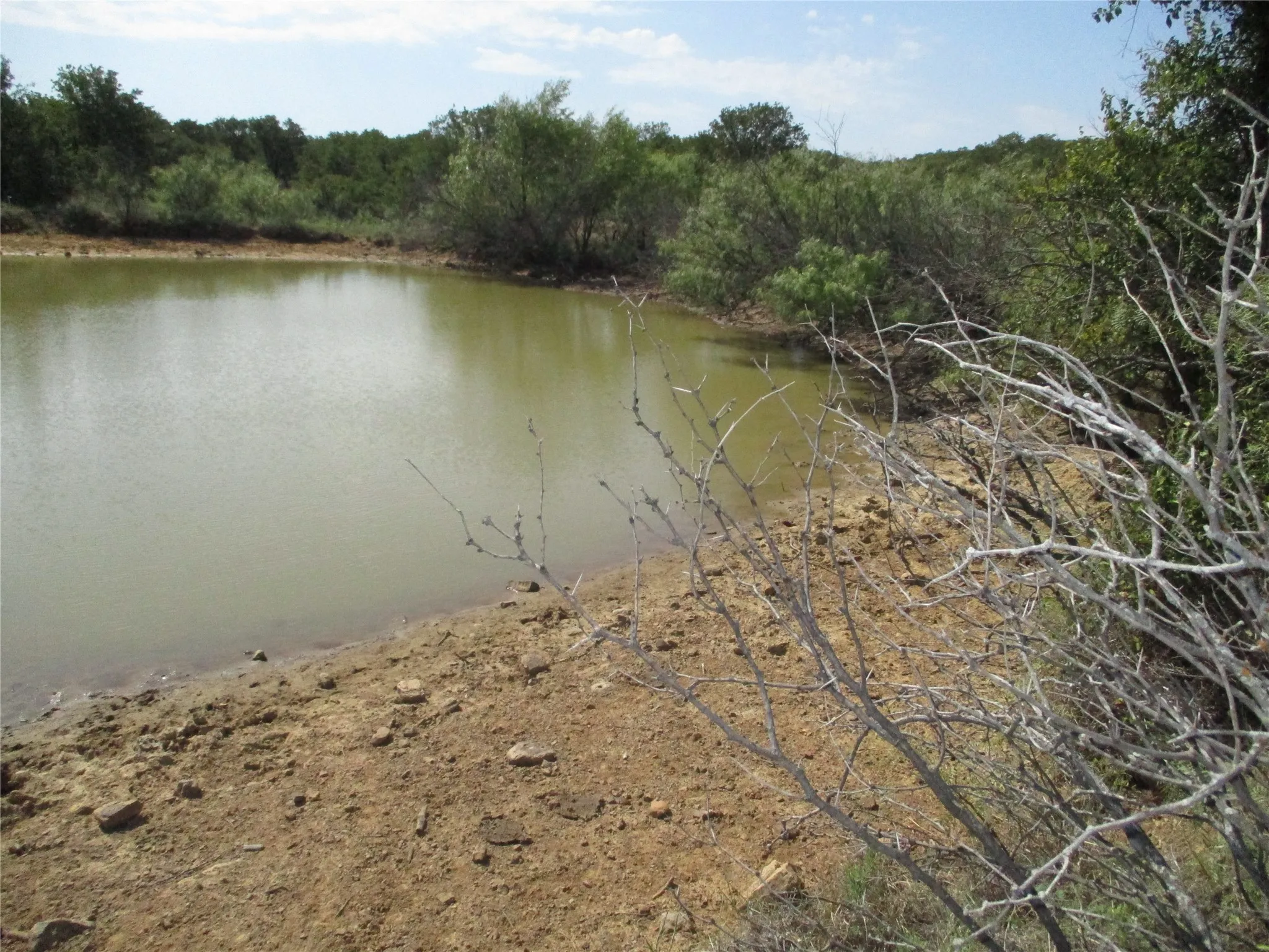 Unimproved Land For Sale in Young County , 80 ac Hwy 16, Loving, Texas 76460, 0, 0, Garage spaces, 0 Sqft, built in 0, Price $592,000, mls#20361536, Real Estate Agent in Loving, Homes For Sale in Young county, Homes For Sale in Loving, Realtor in Loving Texas, Real Estate Brokerage Independent Realty Texas, Luminita Cordes Realtor