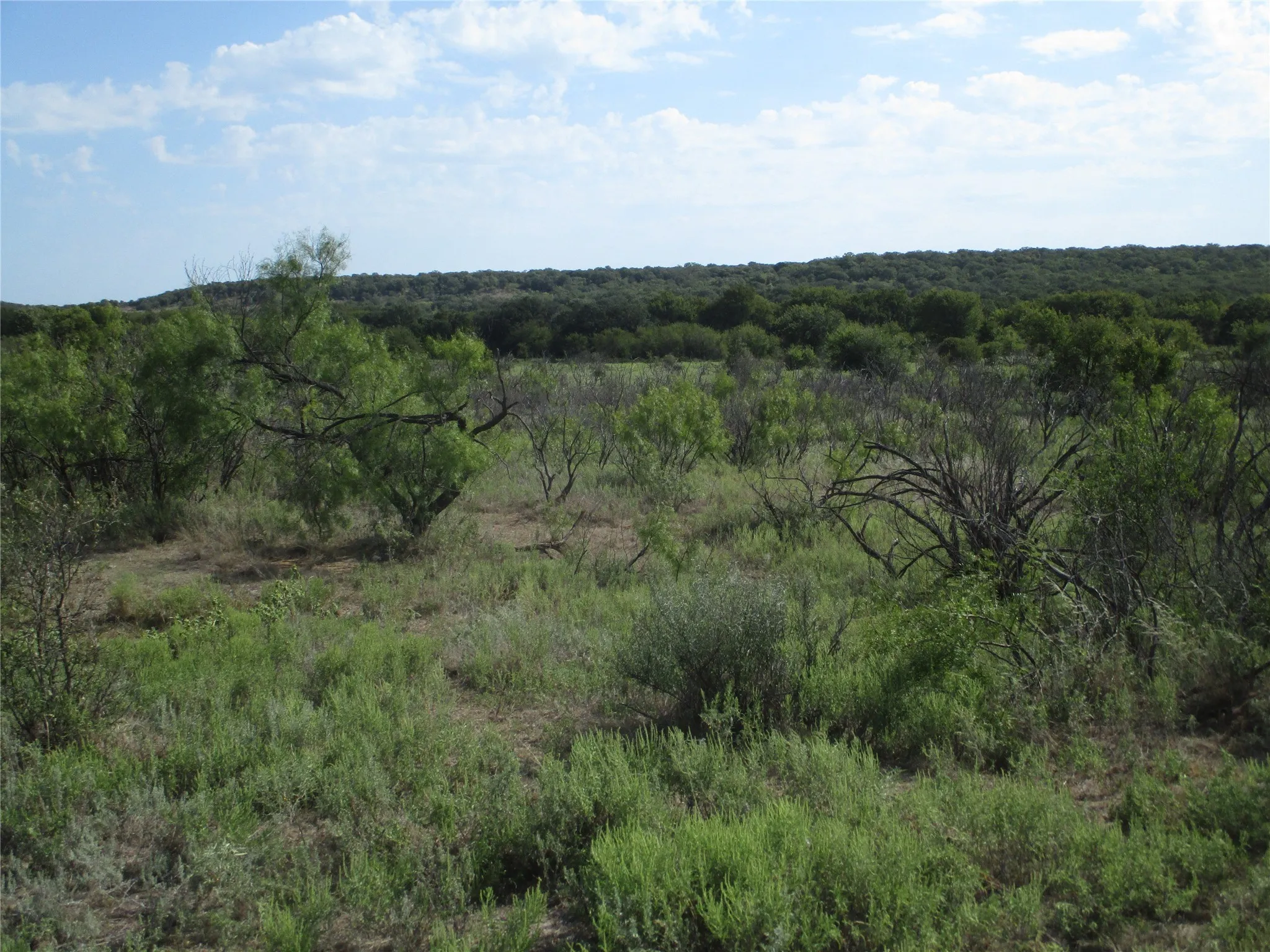 Unimproved Land For Sale in Young County , 80 ac Hwy 16, Loving, Texas 76460, 0, 0, Garage spaces, 0 Sqft, built in 0, Price $592,000, mls#20361536, Real Estate Agent in Loving, Homes For Sale in Young county, Homes For Sale in Loving, Realtor in Loving Texas, Real Estate Brokerage Independent Realty Texas, Luminita Cordes Realtor