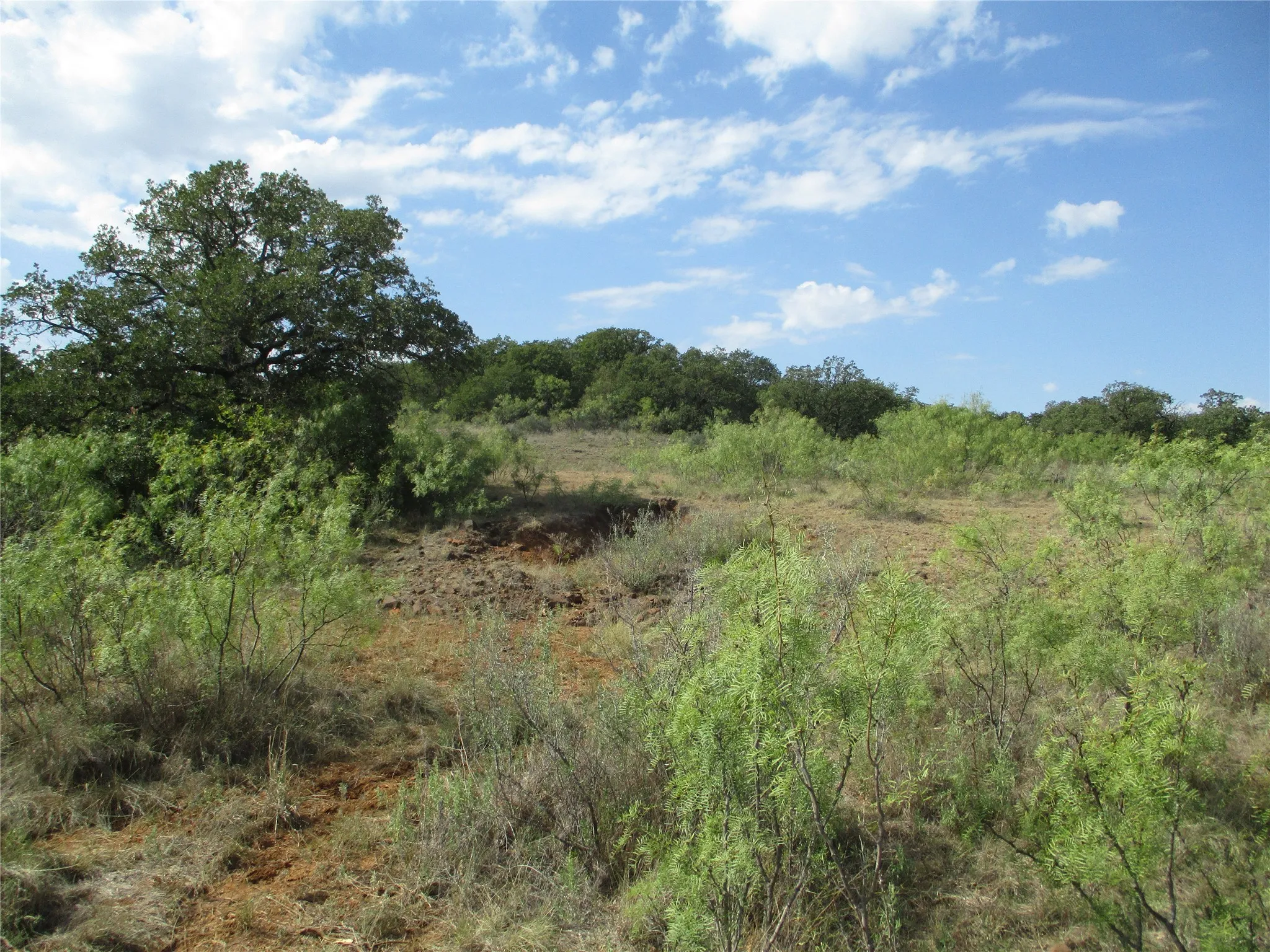 Unimproved Land For Sale in Young County , 80 ac Hwy 16, Loving, Texas 76460, 0, 0, Garage spaces, 0 Sqft, built in 0, Price $592,000, mls#20361536, Real Estate Agent in Loving, Homes For Sale in Young county, Homes For Sale in Loving, Realtor in Loving Texas, Real Estate Brokerage Independent Realty Texas, Luminita Cordes Realtor