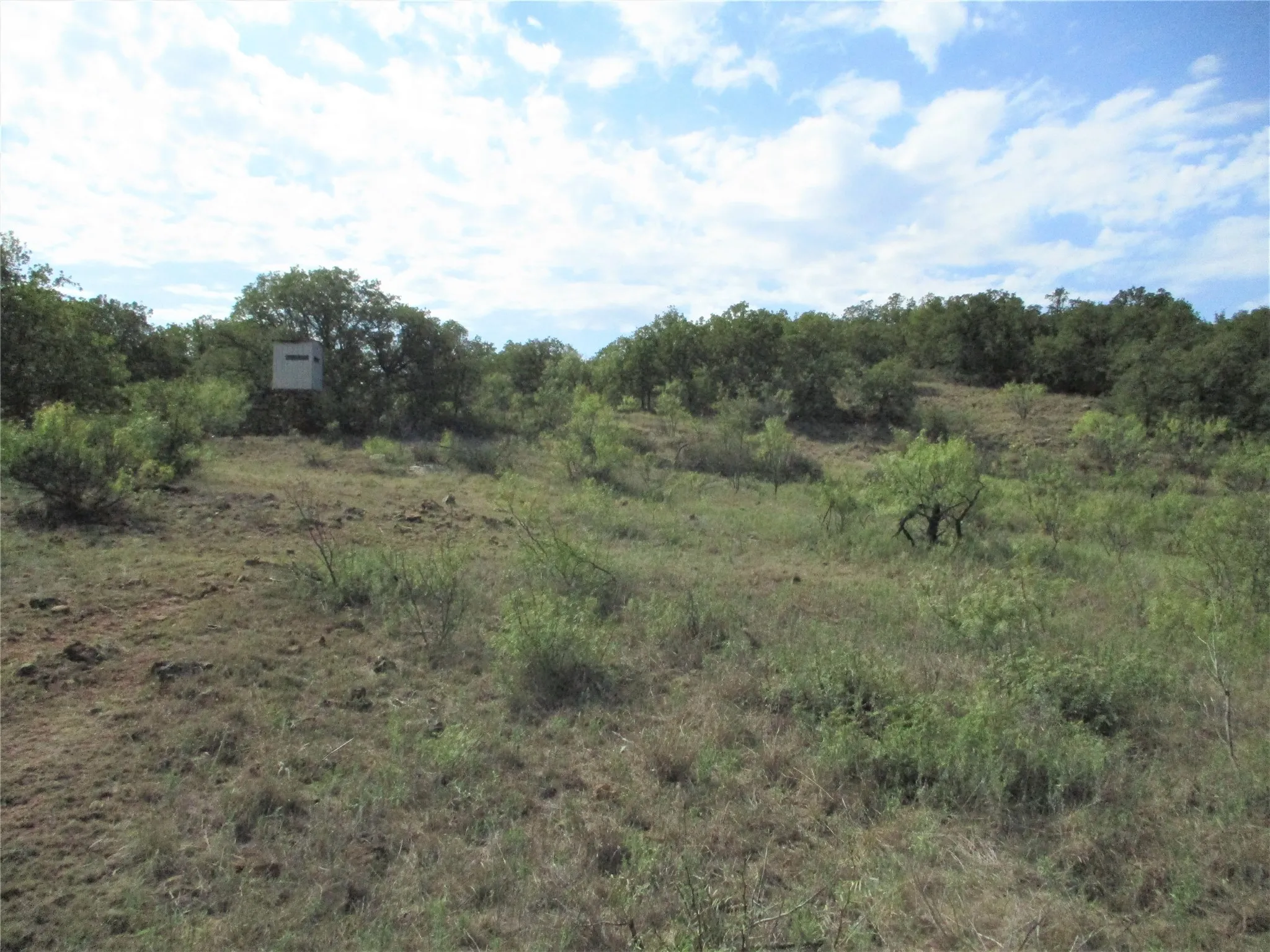 Unimproved Land For Sale in Young County , 80 ac Hwy 16, Loving, Texas 76460, 0, 0, Garage spaces, 0 Sqft, built in 0, Price $592,000, mls#20361536, Real Estate Agent in Loving, Homes For Sale in Young county, Homes For Sale in Loving, Realtor in Loving Texas, Real Estate Brokerage Independent Realty Texas, Luminita Cordes Realtor