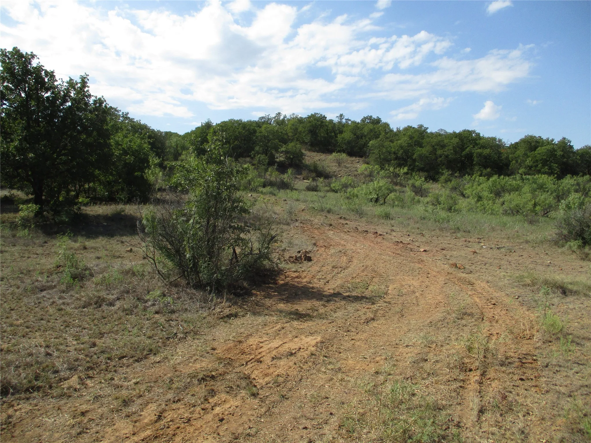 Unimproved Land For Sale in Young County , 80 ac Hwy 16, Loving, Texas 76460, 0, 0, Garage spaces, 0 Sqft, built in 0, Price $592,000, mls#20361536, Real Estate Agent in Loving, Homes For Sale in Young county, Homes For Sale in Loving, Realtor in Loving Texas, Real Estate Brokerage Independent Realty Texas, Luminita Cordes Realtor