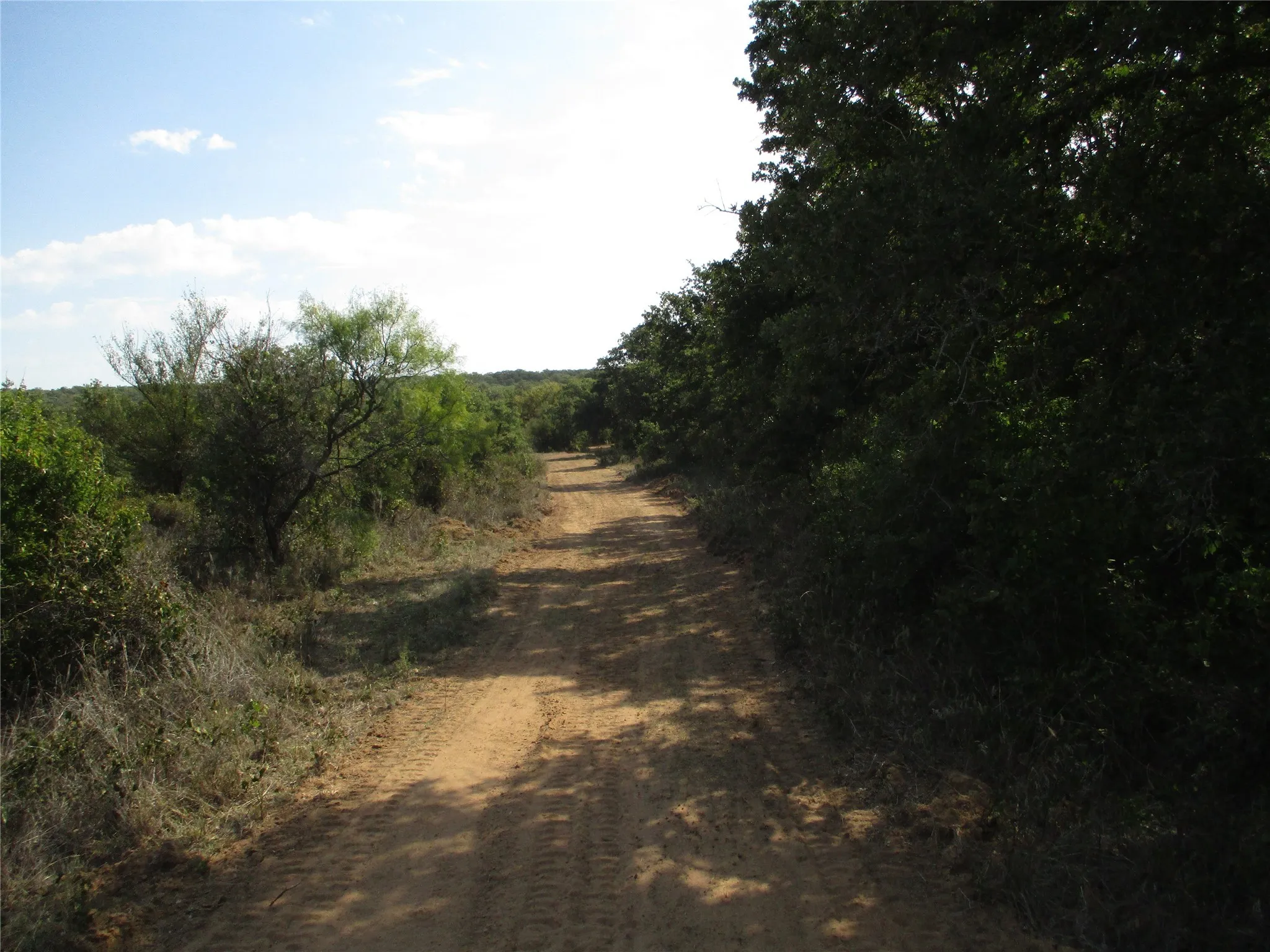 Unimproved Land For Sale in Young County , 80 ac Hwy 16, Loving, Texas 76460, 0, 0, Garage spaces, 0 Sqft, built in 0, Price $592,000, mls#20361536, Real Estate Agent in Loving, Homes For Sale in Young county, Homes For Sale in Loving, Realtor in Loving Texas, Real Estate Brokerage Independent Realty Texas, Luminita Cordes Realtor