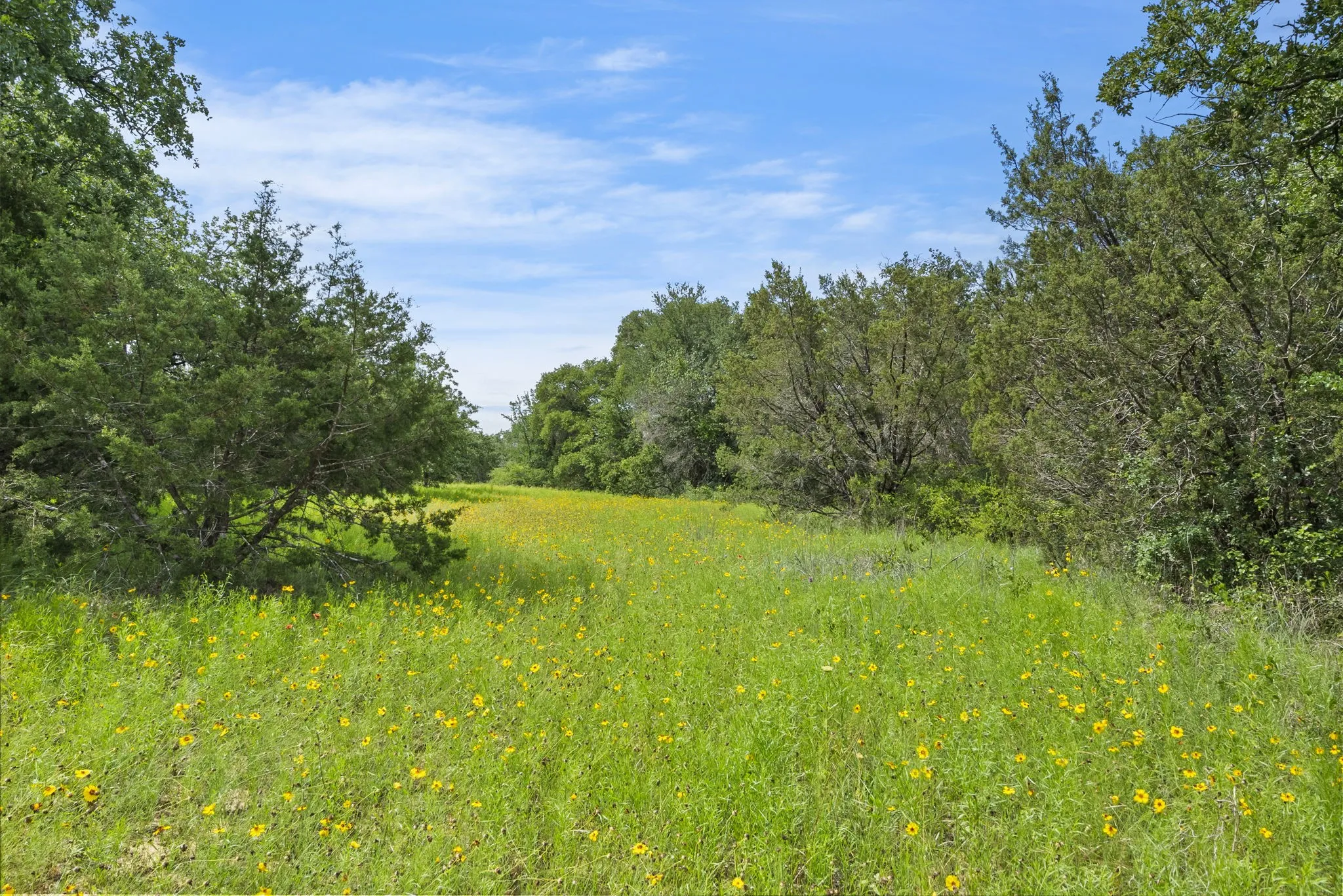 Ranch For Sale in Erath County , 1435 Private Road 1129, Stephenville, Texas 76401, 0, 0, Garage spaces, 0 Sqft, built in 0, Price $1,683,900, mls#20354713, Real Estate Agent in Stephenville, Homes For Sale in Erath county, Homes For Sale in Stephenville, Realtor in Stephenville Texas, Real Estate Brokerage Independent Realty Texas, Luminita Cordes Realtor