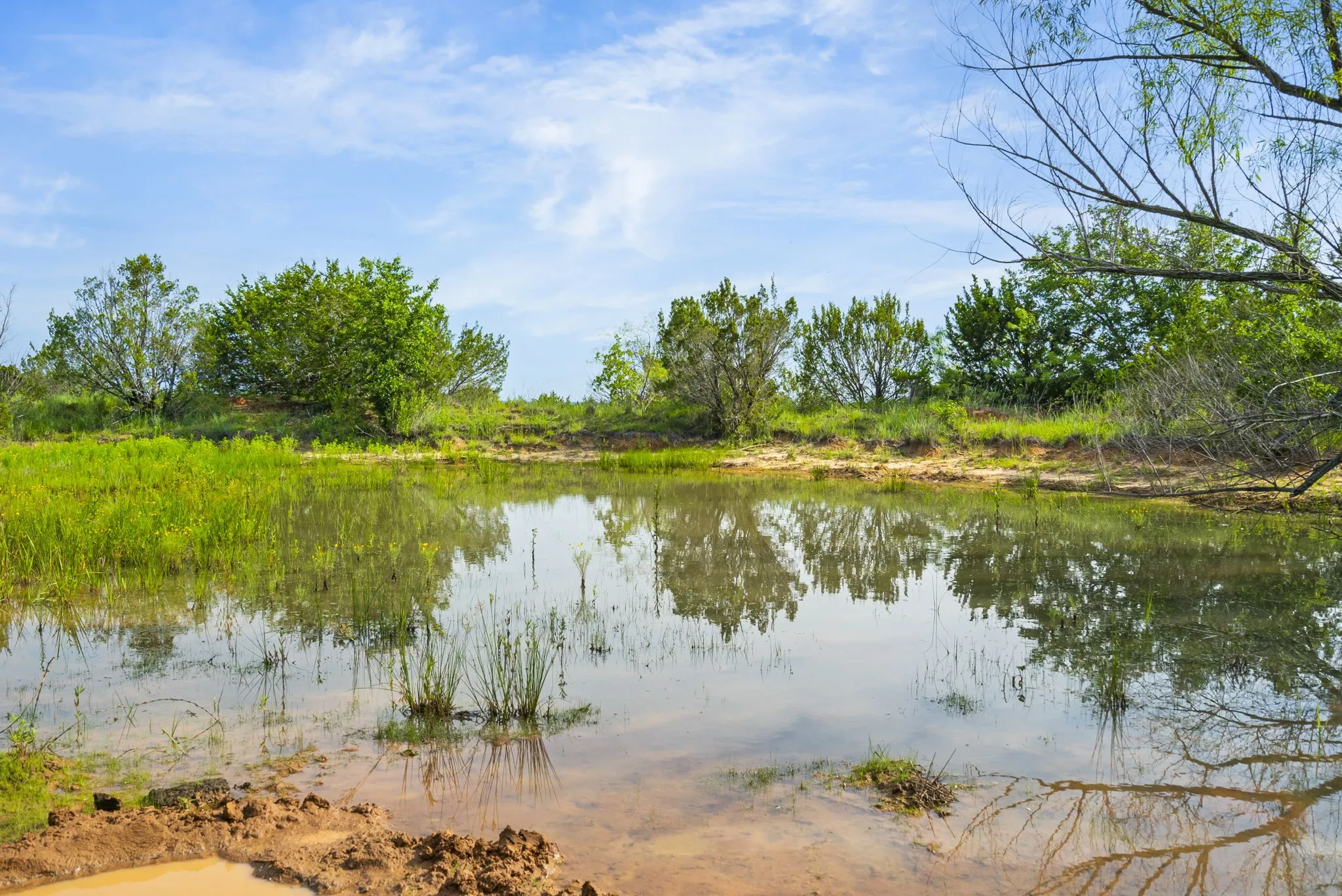 Ranch For Sale in Erath County , 1435 Private Road 1129, Stephenville, Texas 76401, 0, 0, Garage spaces, 0 Sqft, built in 0, Price $1,683,900, mls#20354713, Real Estate Agent in Stephenville, Homes For Sale in Erath county, Homes For Sale in Stephenville, Realtor in Stephenville Texas, Real Estate Brokerage Independent Realty Texas, Luminita Cordes Realtor