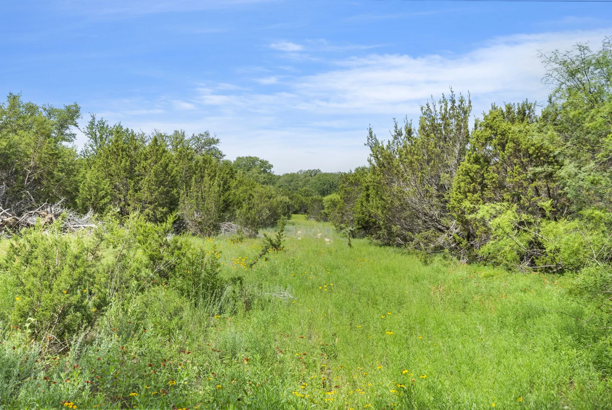 Ranch For Sale in Erath County , 1435 Private Road 1129, Stephenville, Texas 76401, 0, 0, Garage spaces, 0 Sqft, built in 0, Price $1,683,900, mls#20354713, Real Estate Agent in Stephenville, Homes For Sale in Erath county, Homes For Sale in Stephenville, Realtor in Stephenville Texas, Real Estate Brokerage Independent Realty Texas, Luminita Cordes Realtor