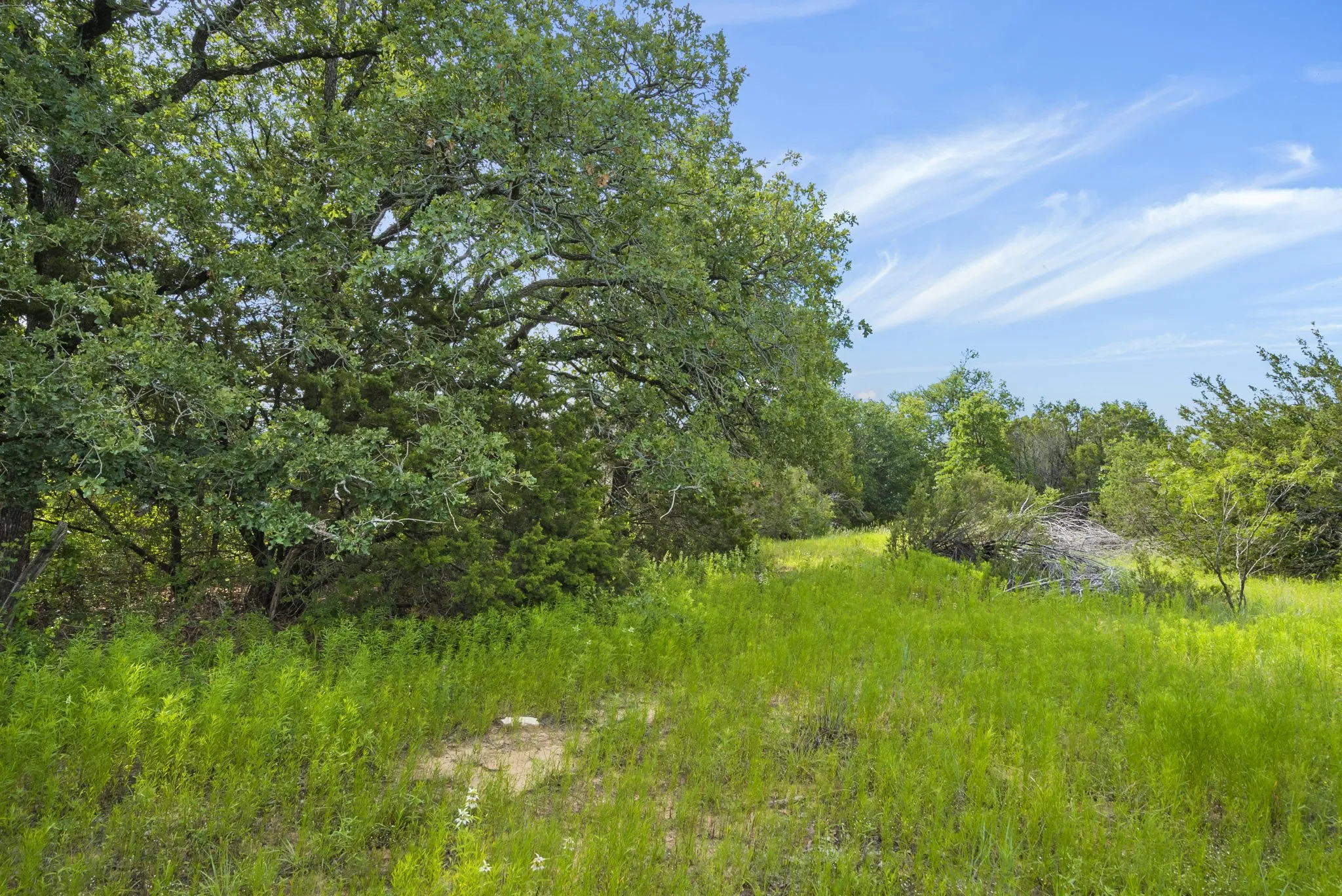 Ranch For Sale in Erath County , 1435 Private Road 1129, Stephenville, Texas 76401, 0, 0, Garage spaces, 0 Sqft, built in 0, Price $1,683,900, mls#20354713, Real Estate Agent in Stephenville, Homes For Sale in Erath county, Homes For Sale in Stephenville, Realtor in Stephenville Texas, Real Estate Brokerage Independent Realty Texas, Luminita Cordes Realtor