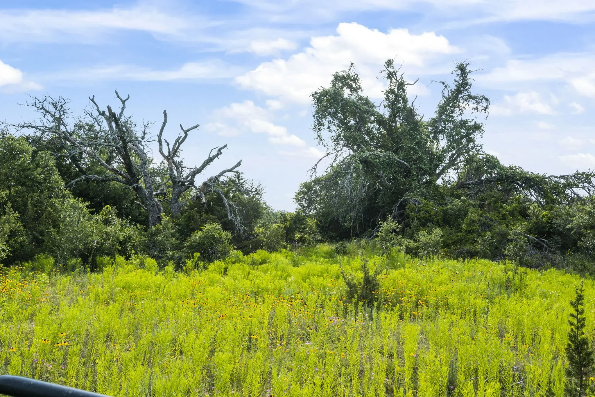 Ranch For Sale in Erath County , 1435 Private Road 1129, Stephenville, Texas 76401, 0, 0, Garage spaces, 0 Sqft, built in 0, Price $1,683,900, mls#20354713, Real Estate Agent in Stephenville, Homes For Sale in Erath county, Homes For Sale in Stephenville, Realtor in Stephenville Texas, Real Estate Brokerage Independent Realty Texas, Luminita Cordes Realtor