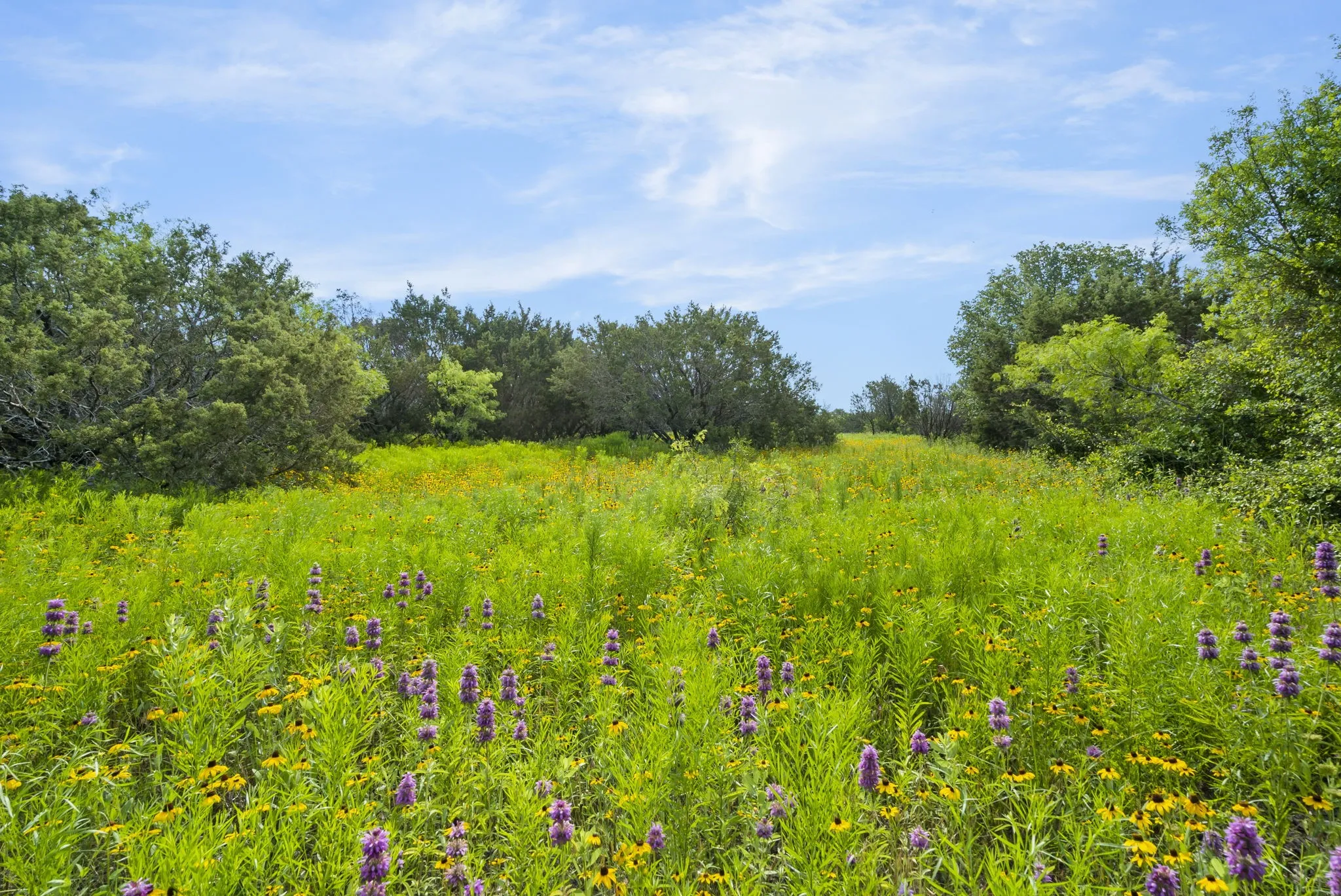 Ranch For Sale in Erath County , 1435 Private Road 1129, Stephenville, Texas 76401, 0, 0, Garage spaces, 0 Sqft, built in 0, Price $1,683,900, mls#20354713, Real Estate Agent in Stephenville, Homes For Sale in Erath county, Homes For Sale in Stephenville, Realtor in Stephenville Texas, Real Estate Brokerage Independent Realty Texas, Luminita Cordes Realtor