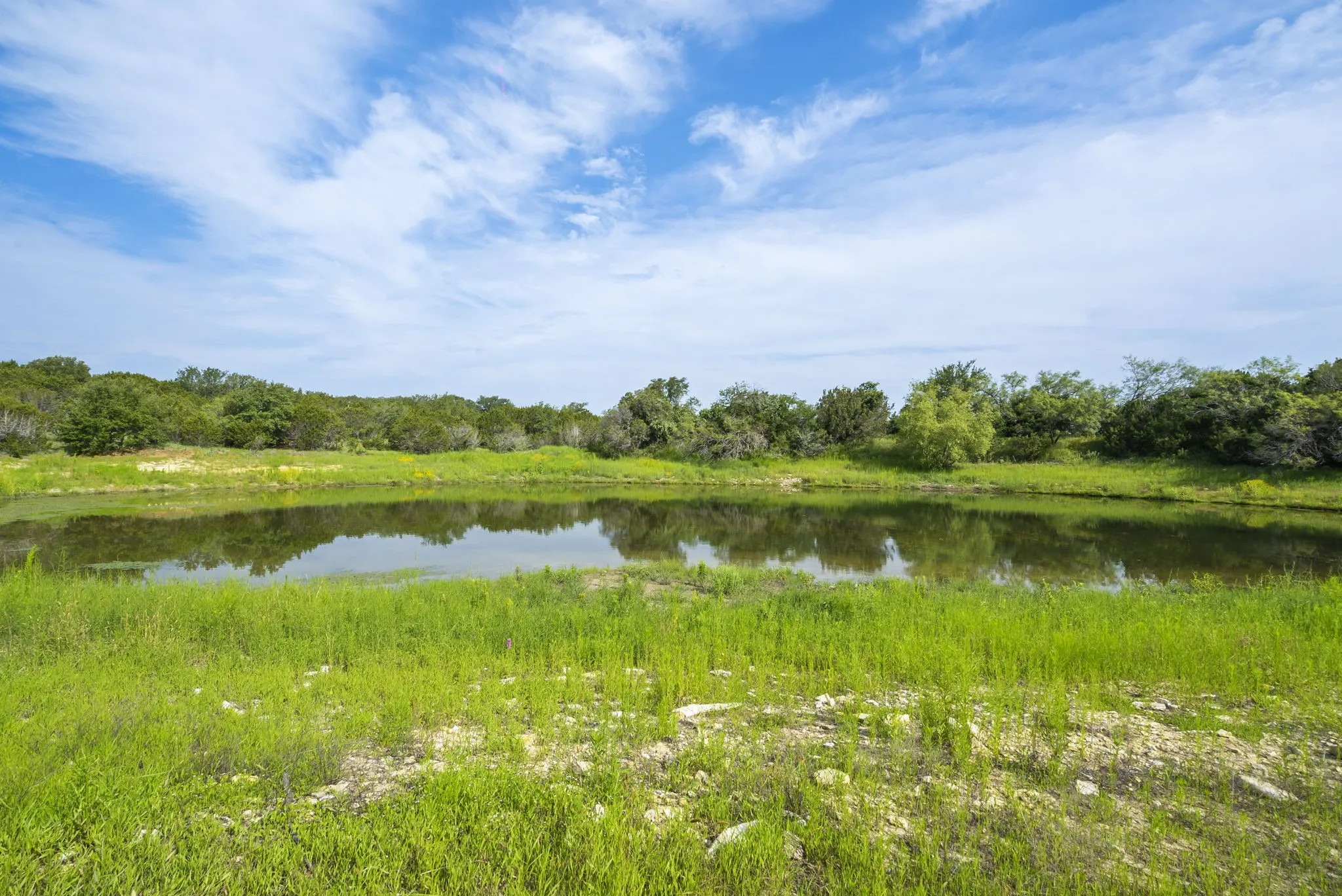 Ranch For Sale in Erath County , 1435 Private Road 1129, Stephenville, Texas 76401, 0, 0, Garage spaces, 0 Sqft, built in 0, Price $1,683,900, mls#20354713, Real Estate Agent in Stephenville, Homes For Sale in Erath county, Homes For Sale in Stephenville, Realtor in Stephenville Texas, Real Estate Brokerage Independent Realty Texas, Luminita Cordes Realtor