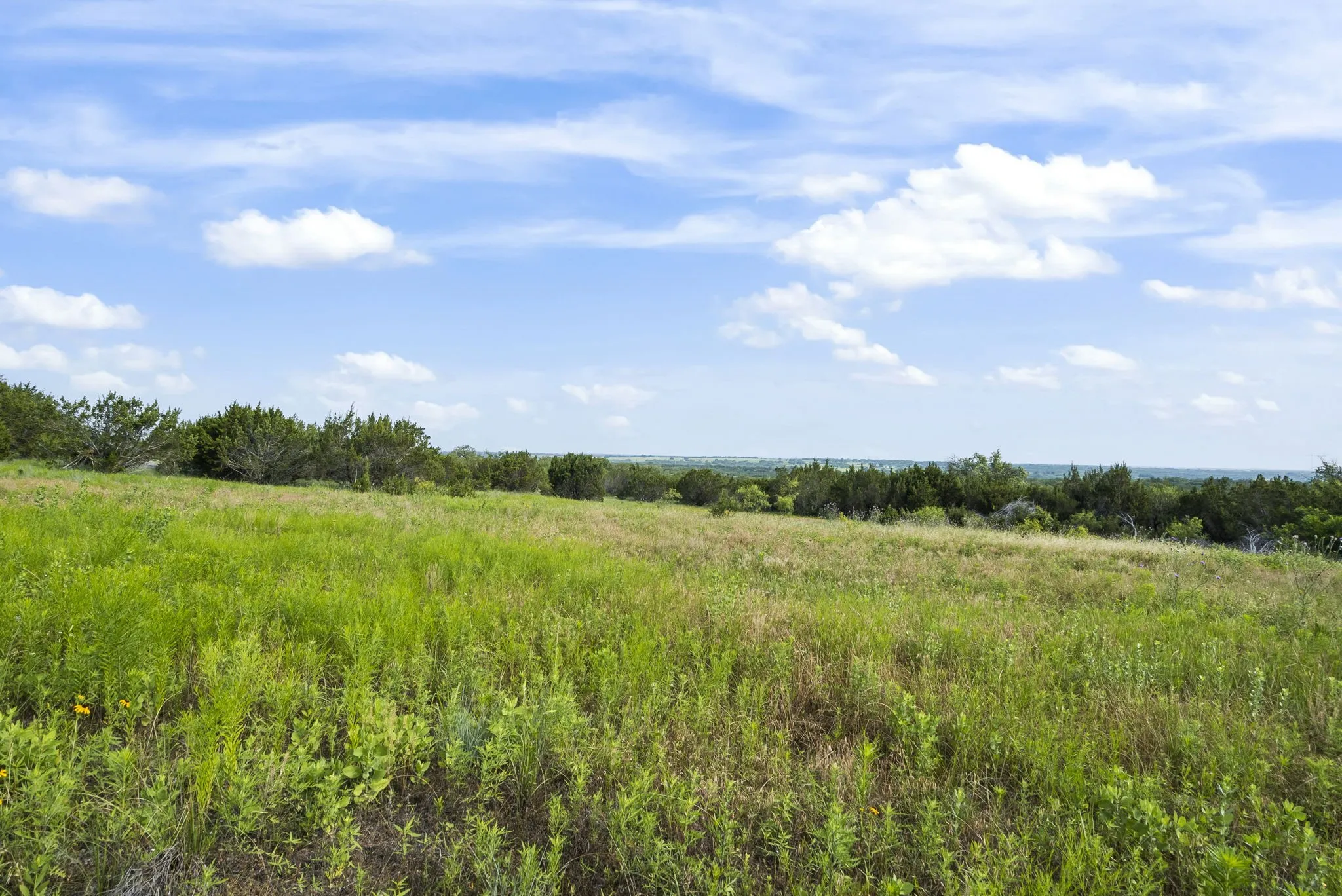 Ranch For Sale in Erath County , 1435 Private Road 1129, Stephenville, Texas 76401, 0, 0, Garage spaces, 0 Sqft, built in 0, Price $1,683,900, mls#20354713, Real Estate Agent in Stephenville, Homes For Sale in Erath county, Homes For Sale in Stephenville, Realtor in Stephenville Texas, Real Estate Brokerage Independent Realty Texas, Luminita Cordes Realtor