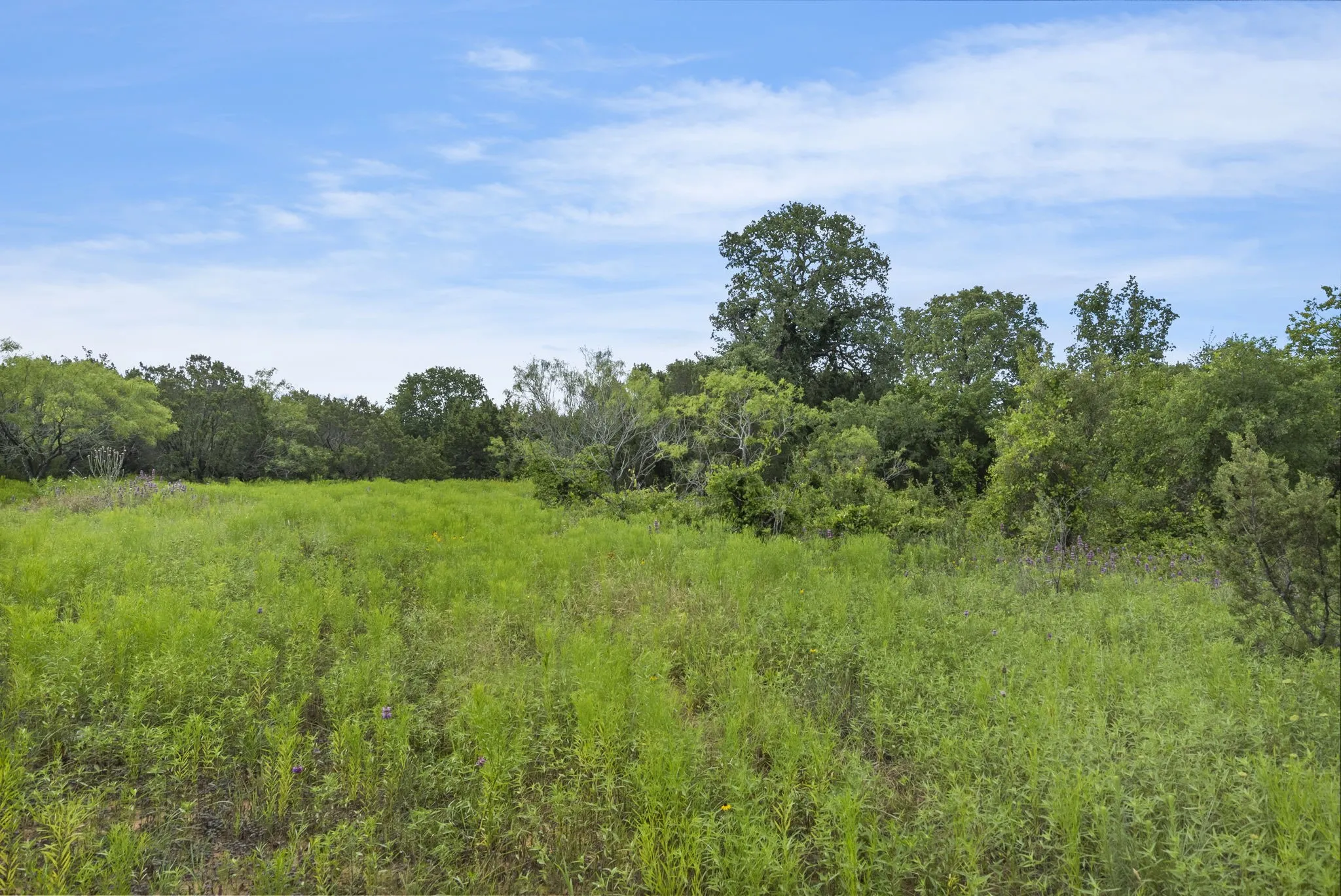 Ranch For Sale in Erath County , 1435 Private Road 1129, Stephenville, Texas 76401, 0, 0, Garage spaces, 0 Sqft, built in 0, Price $1,683,900, mls#20354713, Real Estate Agent in Stephenville, Homes For Sale in Erath county, Homes For Sale in Stephenville, Realtor in Stephenville Texas, Real Estate Brokerage Independent Realty Texas, Luminita Cordes Realtor