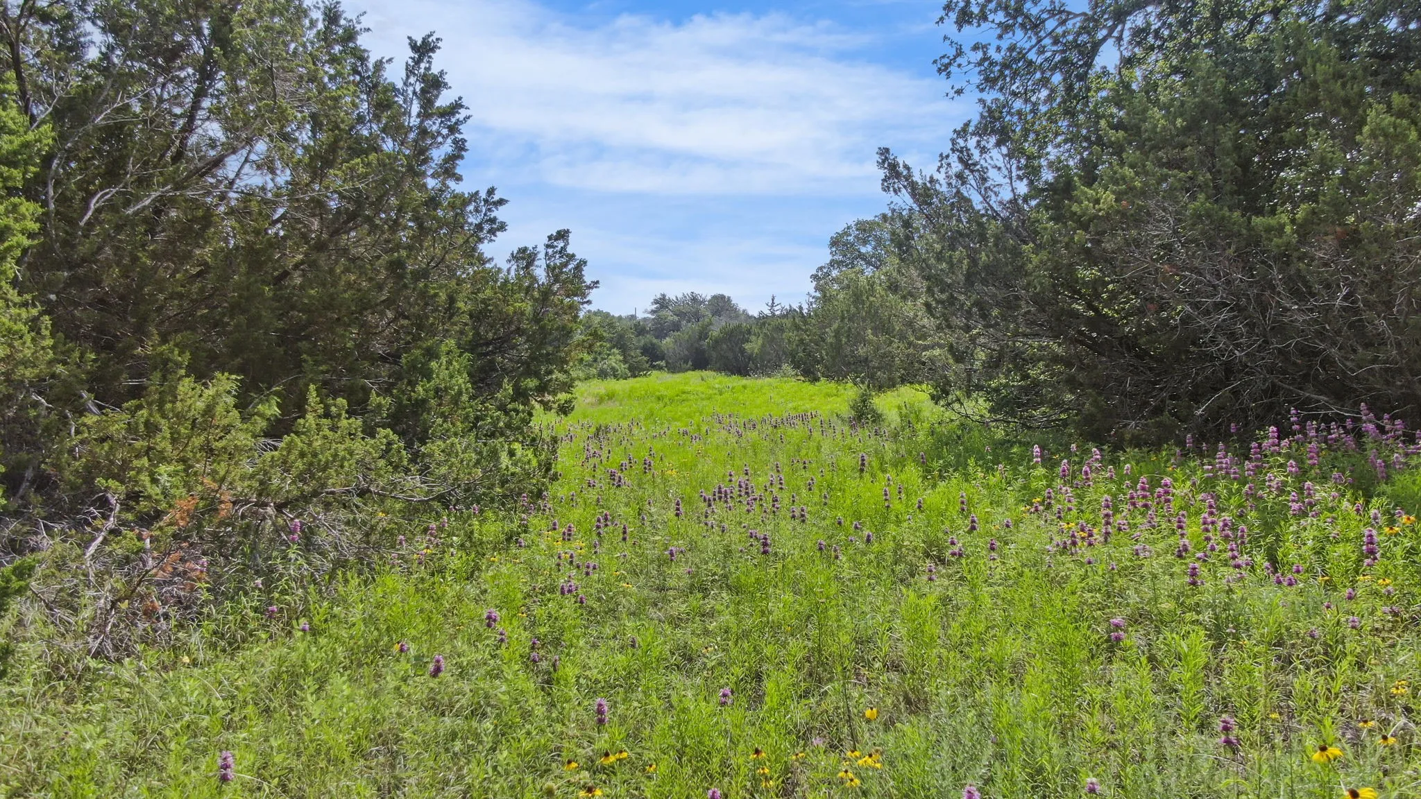 Ranch For Sale in Erath County , 1435 Private Road 1129, Stephenville, Texas 76401, 0, 0, Garage spaces, 0 Sqft, built in 0, Price $1,683,900, mls#20354713, Real Estate Agent in Stephenville, Homes For Sale in Erath county, Homes For Sale in Stephenville, Realtor in Stephenville Texas, Real Estate Brokerage Independent Realty Texas, Luminita Cordes Realtor
