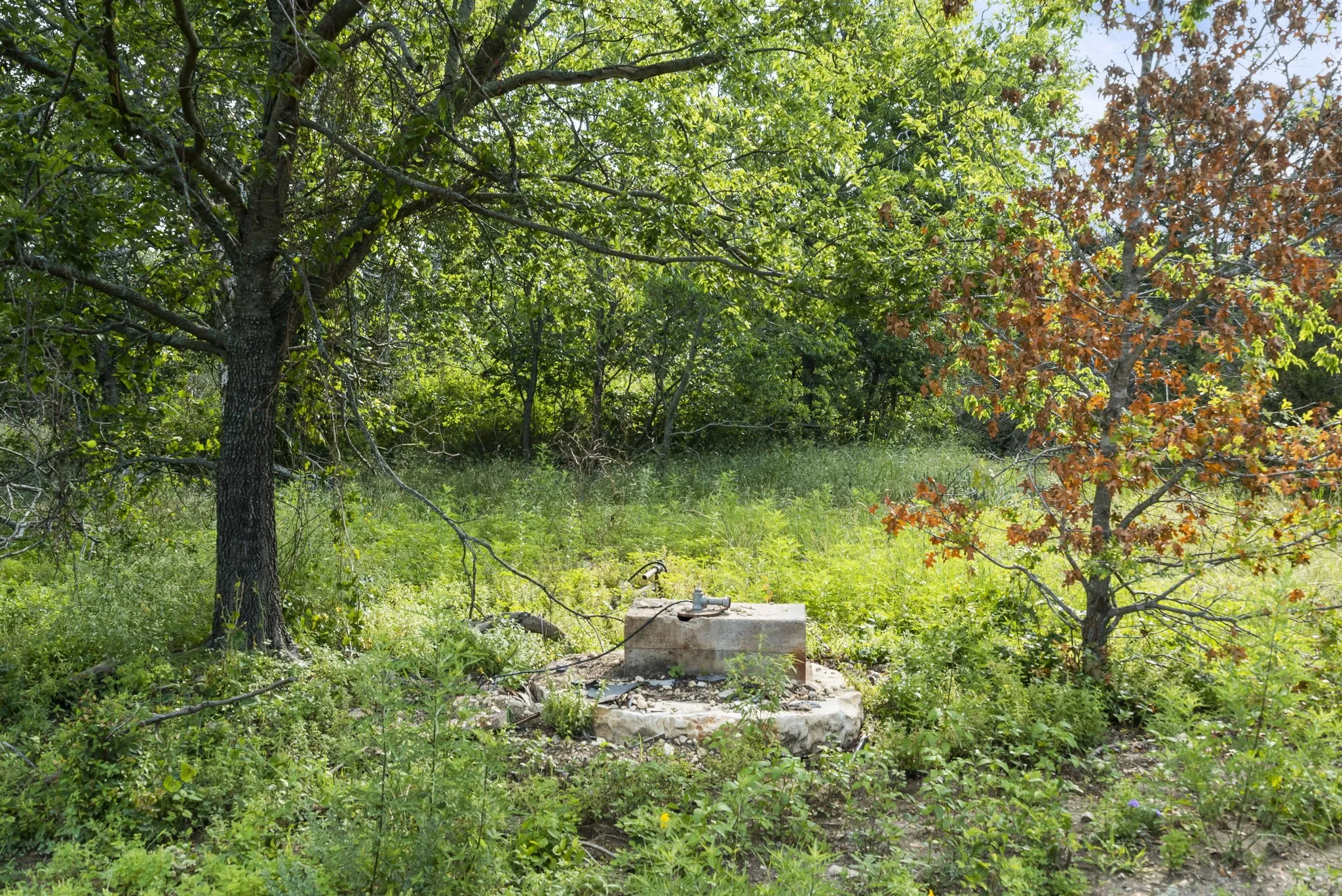 Ranch For Sale in Erath County , 1435 Private Road 1129, Stephenville, Texas 76401, 0, 0, Garage spaces, 0 Sqft, built in 0, Price $1,683,900, mls#20354713, Real Estate Agent in Stephenville, Homes For Sale in Erath county, Homes For Sale in Stephenville, Realtor in Stephenville Texas, Real Estate Brokerage Independent Realty Texas, Luminita Cordes Realtor