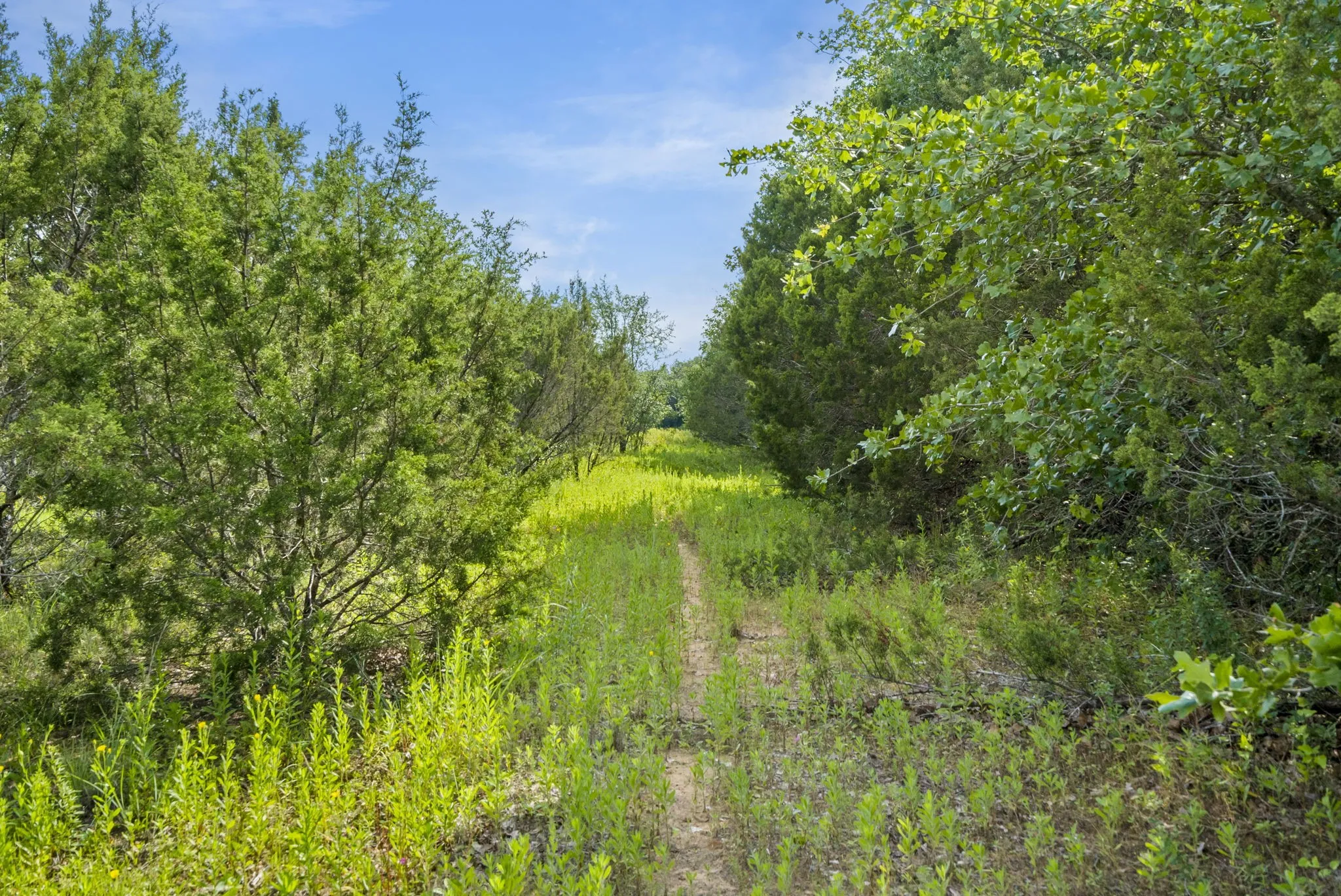 Ranch For Sale in Erath County , 1435 Private Road 1129, Stephenville, Texas 76401, 0, 0, Garage spaces, 0 Sqft, built in 0, Price $1,683,900, mls#20354713, Real Estate Agent in Stephenville, Homes For Sale in Erath county, Homes For Sale in Stephenville, Realtor in Stephenville Texas, Real Estate Brokerage Independent Realty Texas, Luminita Cordes Realtor