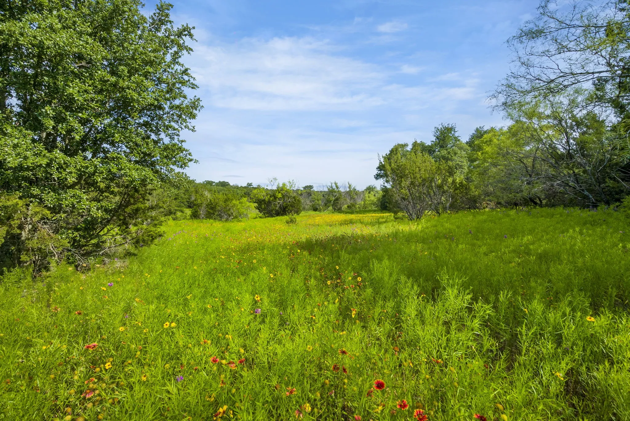 Ranch For Sale in Erath County , 1435 Private Road 1129, Stephenville, Texas 76401, 0, 0, Garage spaces, 0 Sqft, built in 0, Price $1,683,900, mls#20354713, Real Estate Agent in Stephenville, Homes For Sale in Erath county, Homes For Sale in Stephenville, Realtor in Stephenville Texas, Real Estate Brokerage Independent Realty Texas, Luminita Cordes Realtor