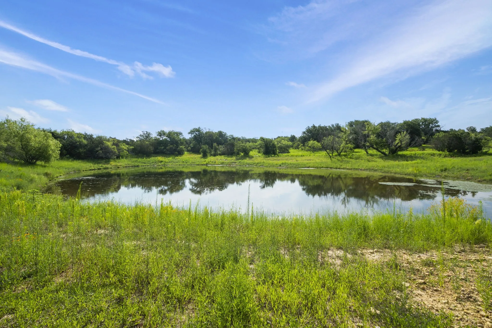 Ranch For Sale in Erath County , 1435 Private Road 1129, Stephenville, Texas 76401, 0, 0, Garage spaces, 0 Sqft, built in 0, Price $1,683,900, mls#20354713, Real Estate Agent in Stephenville, Homes For Sale in Erath county, Homes For Sale in Stephenville, Realtor in Stephenville Texas, Real Estate Brokerage Independent Realty Texas, Luminita Cordes Realtor