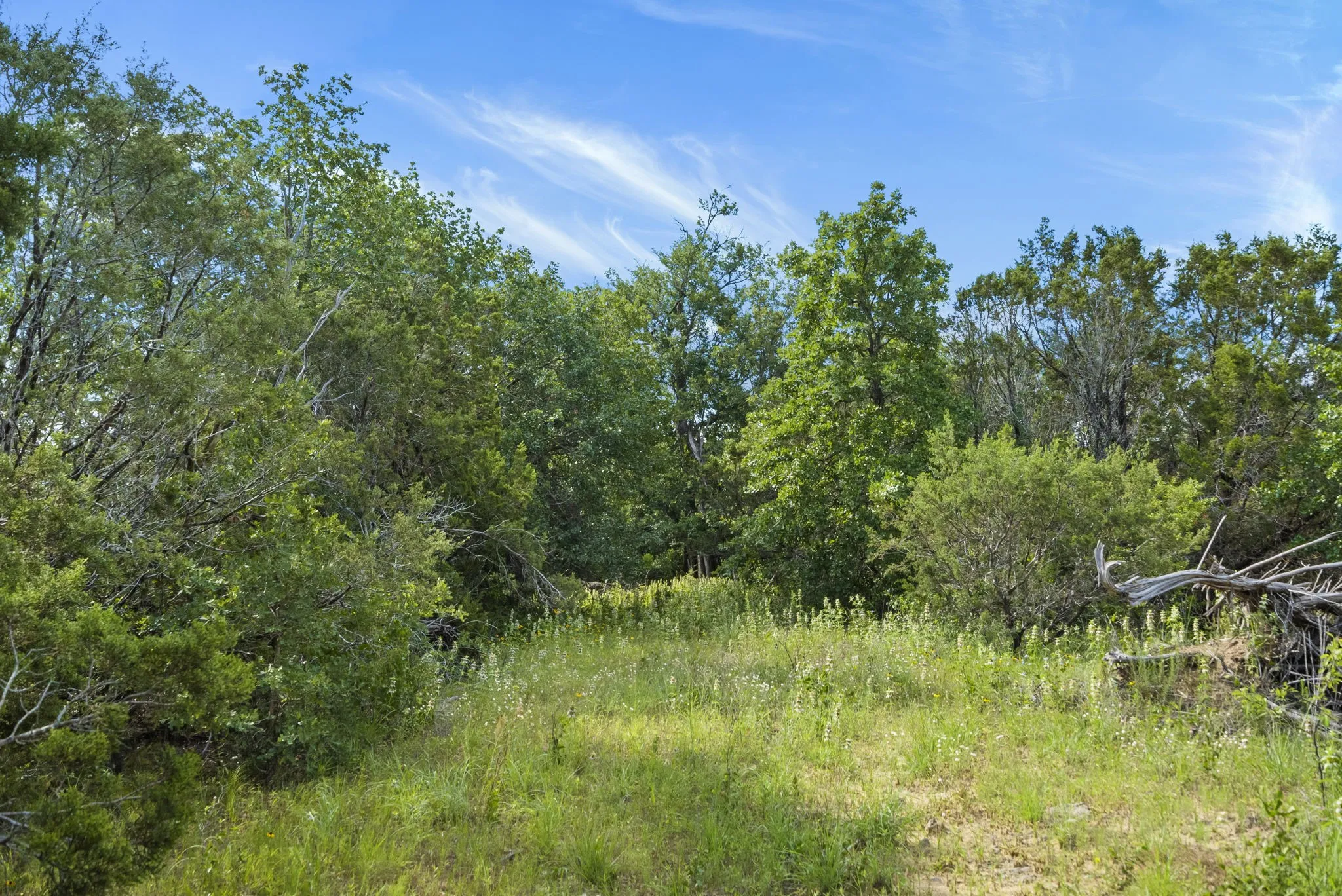 Ranch For Sale in Erath County , 1435 Private Road 1129, Stephenville, Texas 76401, 0, 0, Garage spaces, 0 Sqft, built in 0, Price $1,683,900, mls#20354713, Real Estate Agent in Stephenville, Homes For Sale in Erath county, Homes For Sale in Stephenville, Realtor in Stephenville Texas, Real Estate Brokerage Independent Realty Texas, Luminita Cordes Realtor