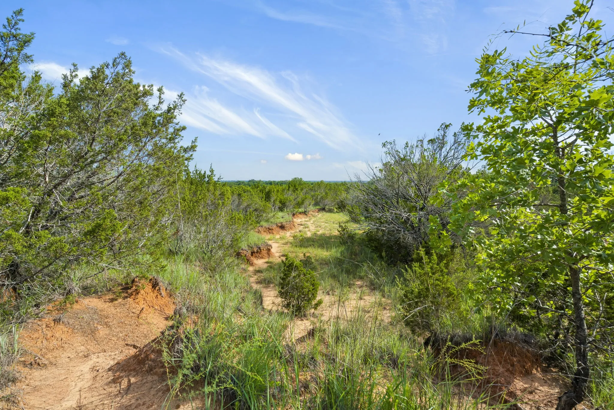 Ranch For Sale in Erath County , 1435 Private Road 1129, Stephenville, Texas 76401, 0, 0, Garage spaces, 0 Sqft, built in 0, Price $1,683,900, mls#20354713, Real Estate Agent in Stephenville, Homes For Sale in Erath county, Homes For Sale in Stephenville, Realtor in Stephenville Texas, Real Estate Brokerage Independent Realty Texas, Luminita Cordes Realtor