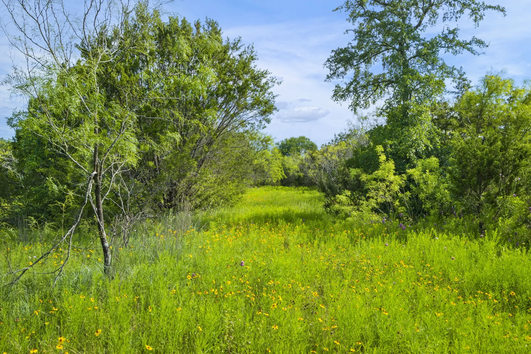Ranch For Sale in Erath County , 1435 Private Road 1129, Stephenville, Texas 76401, 0, 0, Garage spaces, 0 Sqft, built in 0, Price $1,683,900, mls#20354713, Real Estate Agent in Stephenville, Homes For Sale in Erath county, Homes For Sale in Stephenville, Realtor in Stephenville Texas, Real Estate Brokerage Independent Realty Texas, Luminita Cordes Realtor