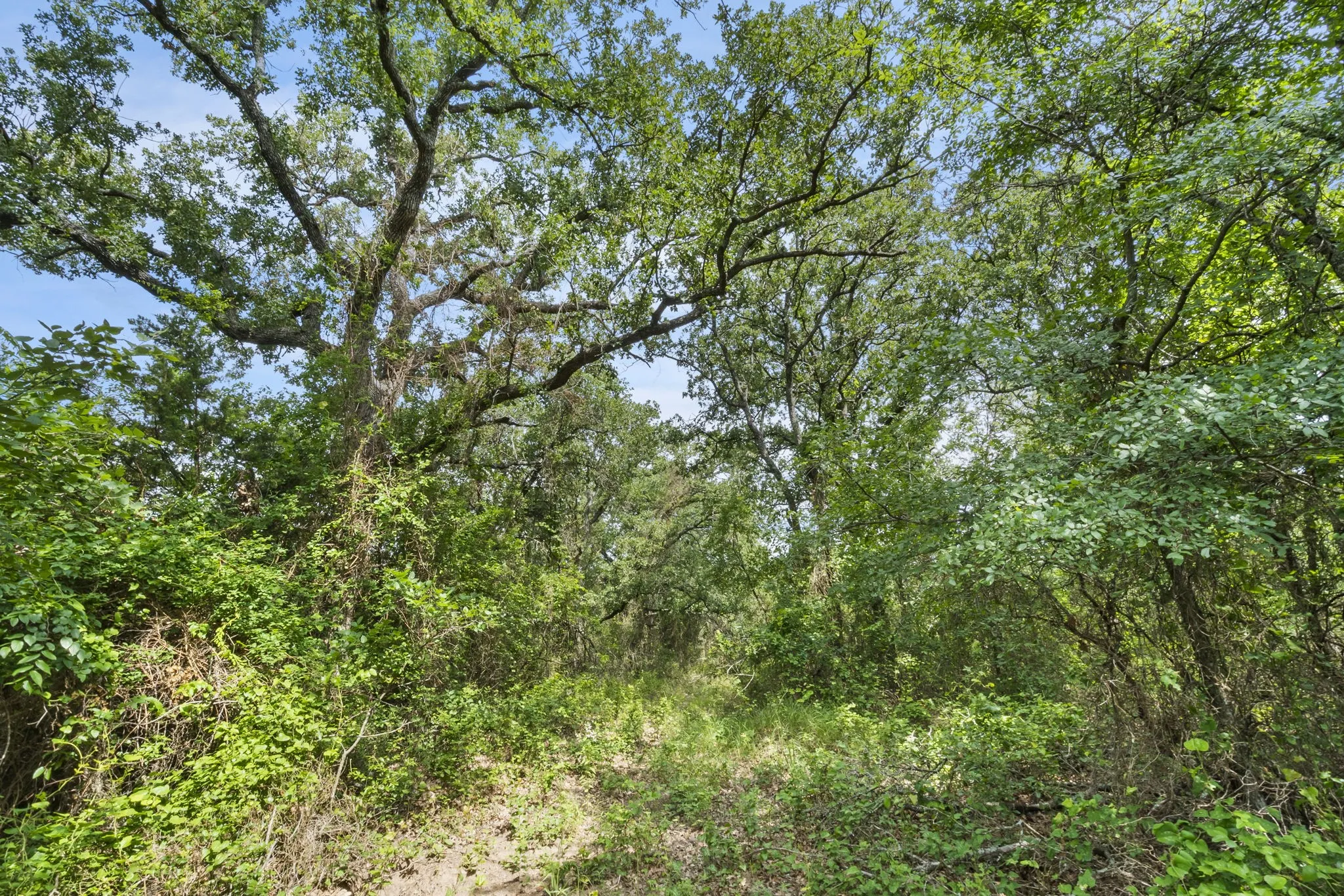 Ranch For Sale in Erath County , 1435 Private Road 1129, Stephenville, Texas 76401, 0, 0, Garage spaces, 0 Sqft, built in 0, Price $1,683,900, mls#20354713, Real Estate Agent in Stephenville, Homes For Sale in Erath county, Homes For Sale in Stephenville, Realtor in Stephenville Texas, Real Estate Brokerage Independent Realty Texas, Luminita Cordes Realtor