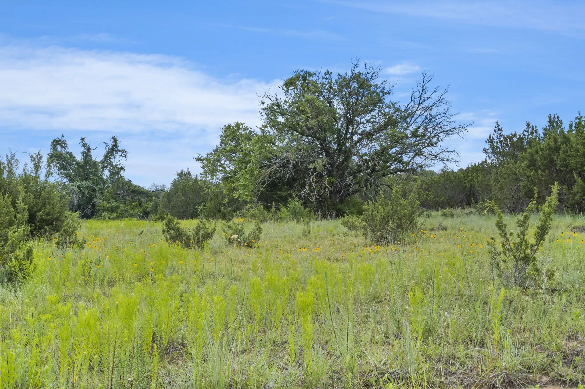 Ranch For Sale in Erath County , 1435 Private Road 1129, Stephenville, Texas 76401, 0, 0, Garage spaces, 0 Sqft, built in 0, Price $1,683,900, mls#20354713, Real Estate Agent in Stephenville, Homes For Sale in Erath county, Homes For Sale in Stephenville, Realtor in Stephenville Texas, Real Estate Brokerage Independent Realty Texas, Luminita Cordes Realtor