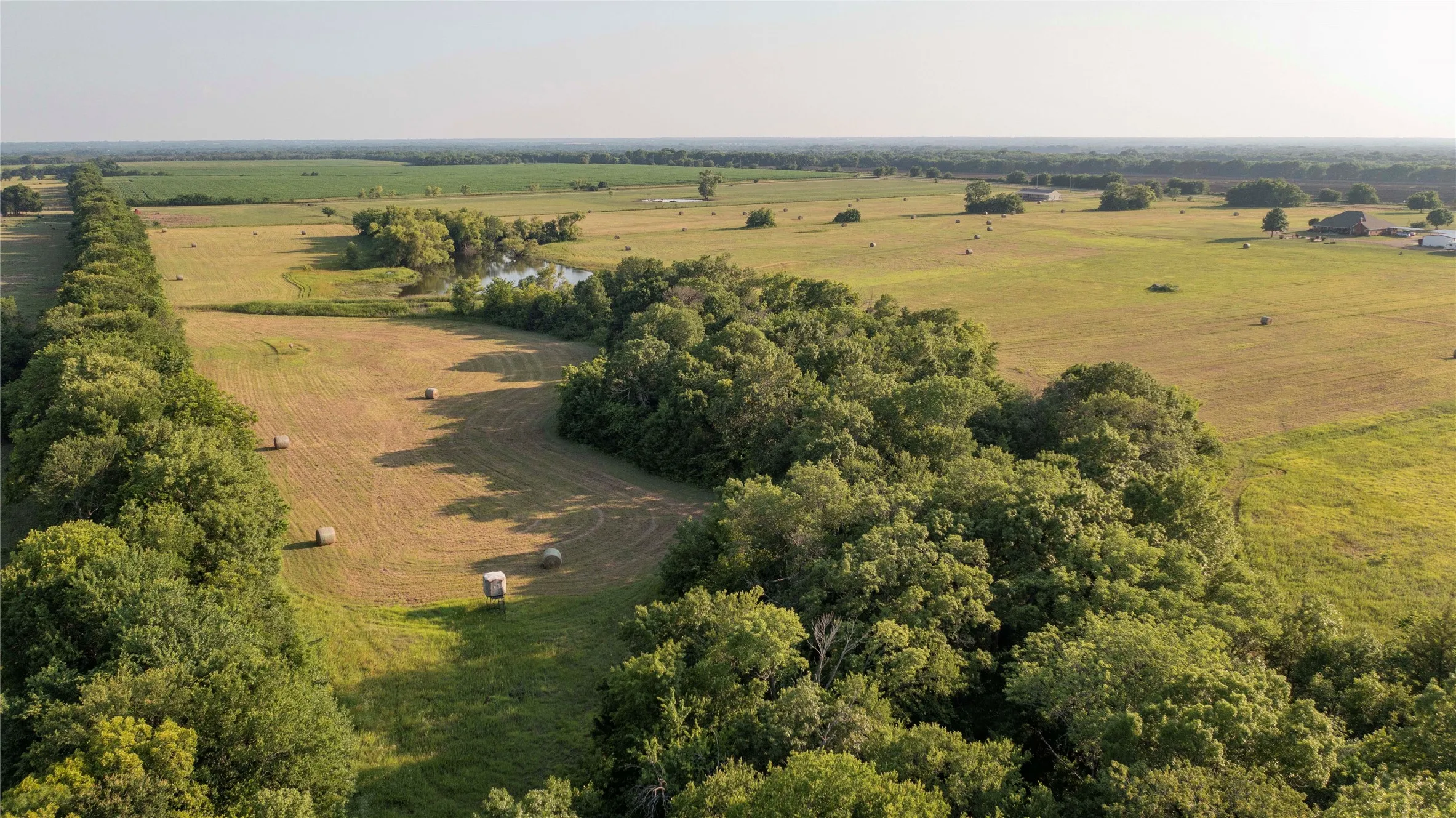 Back pasture... aka deer heaven